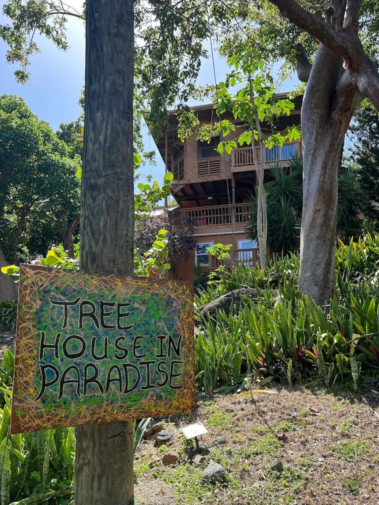 TREE HOUSE IN PARADISE!