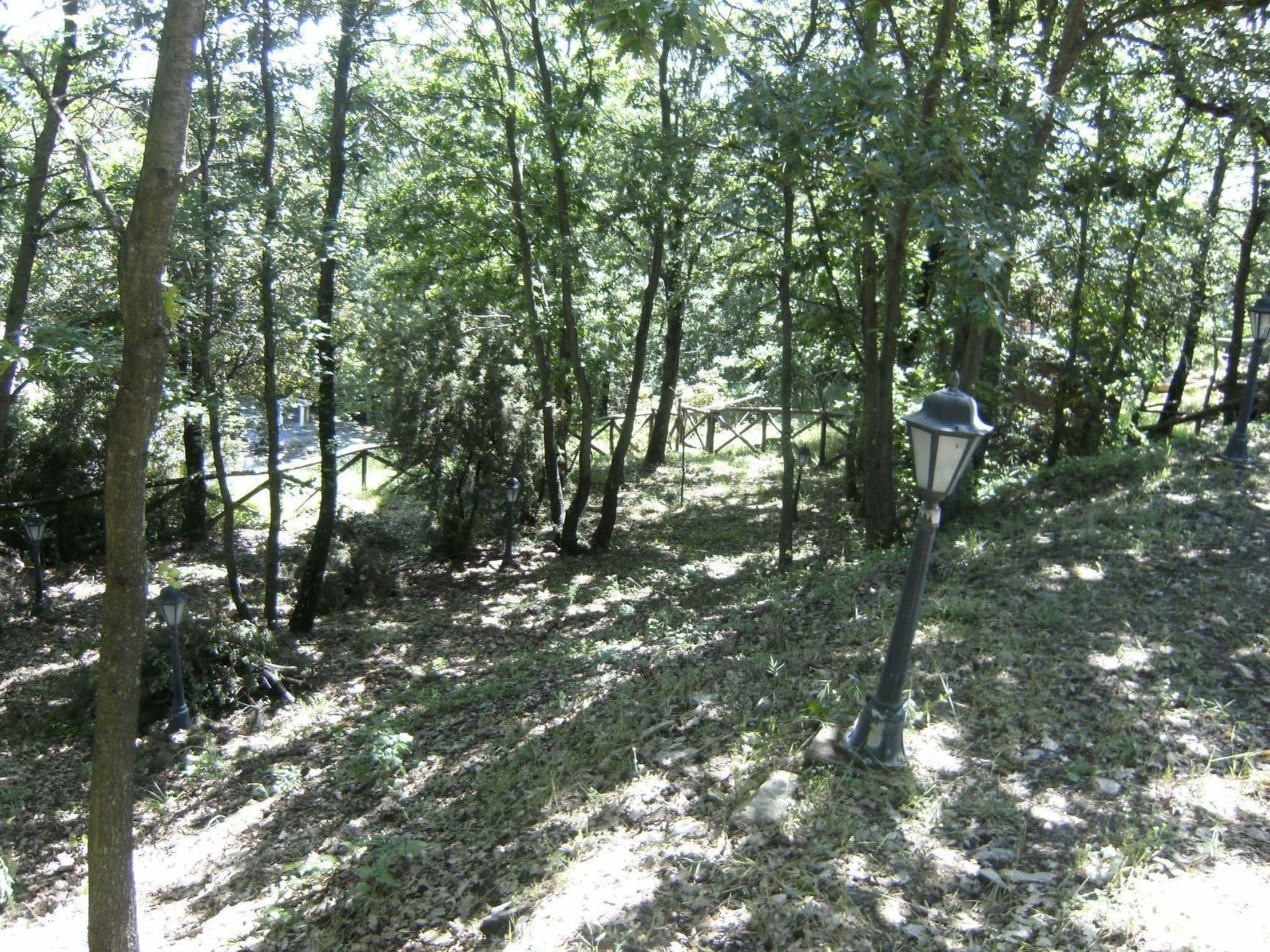 Gallery Image 16