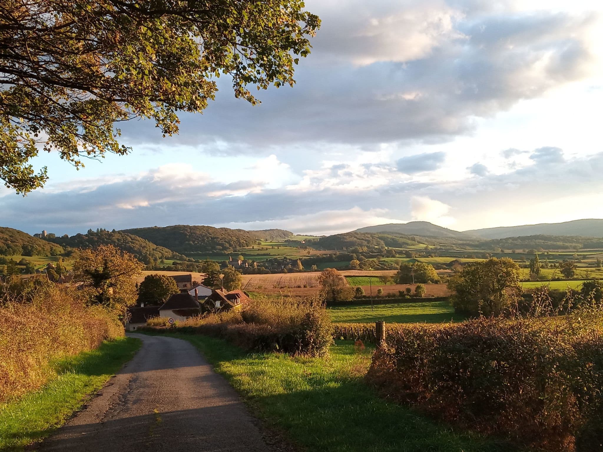 View