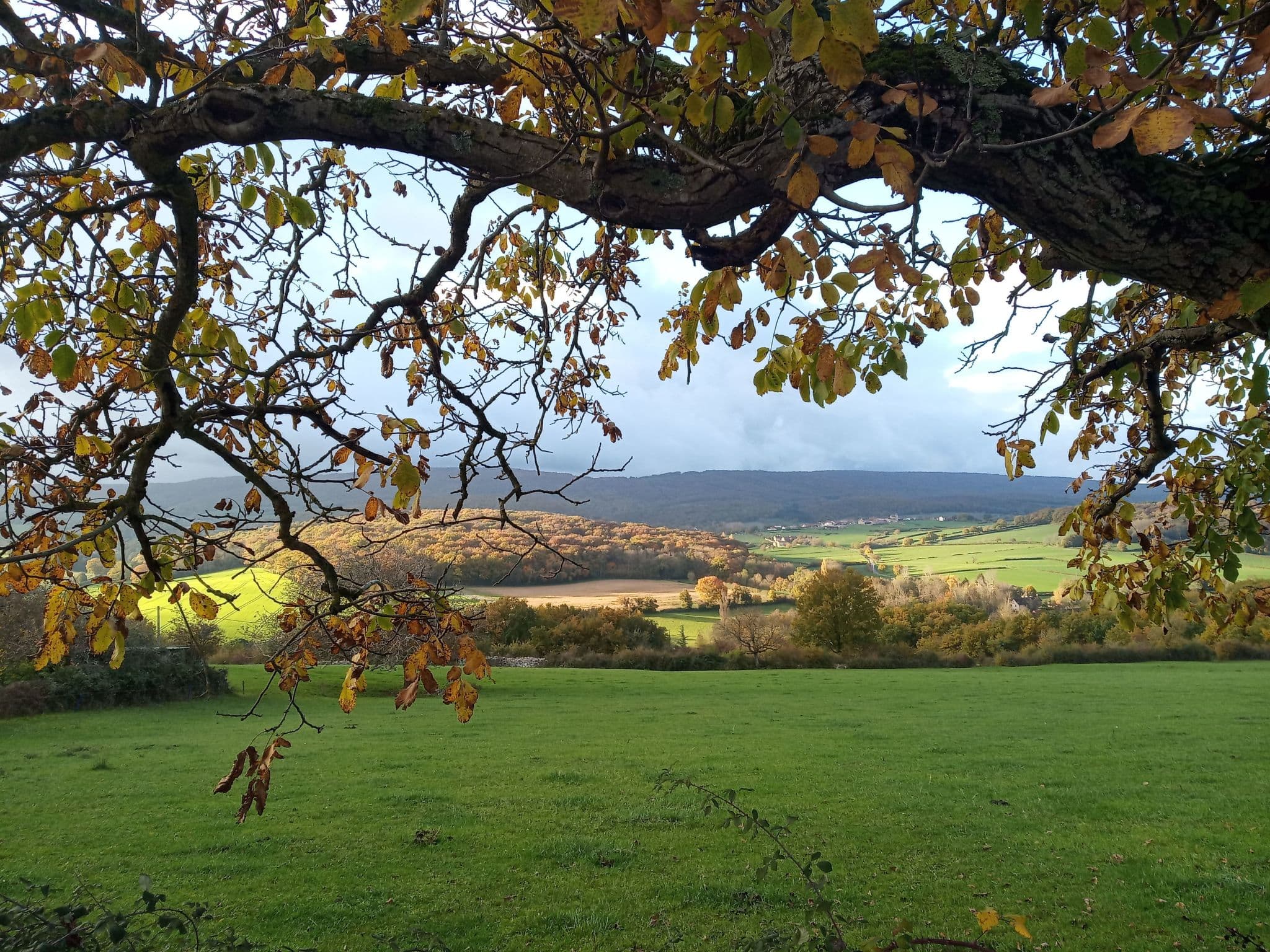 View
