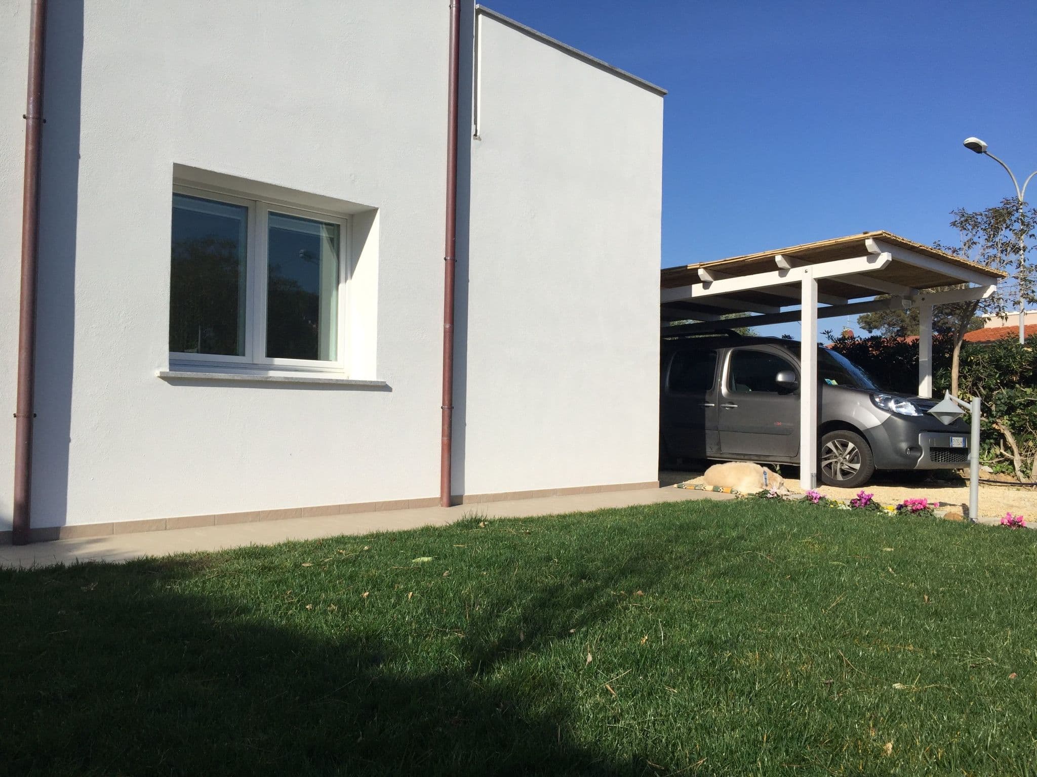 Gallery Image 41