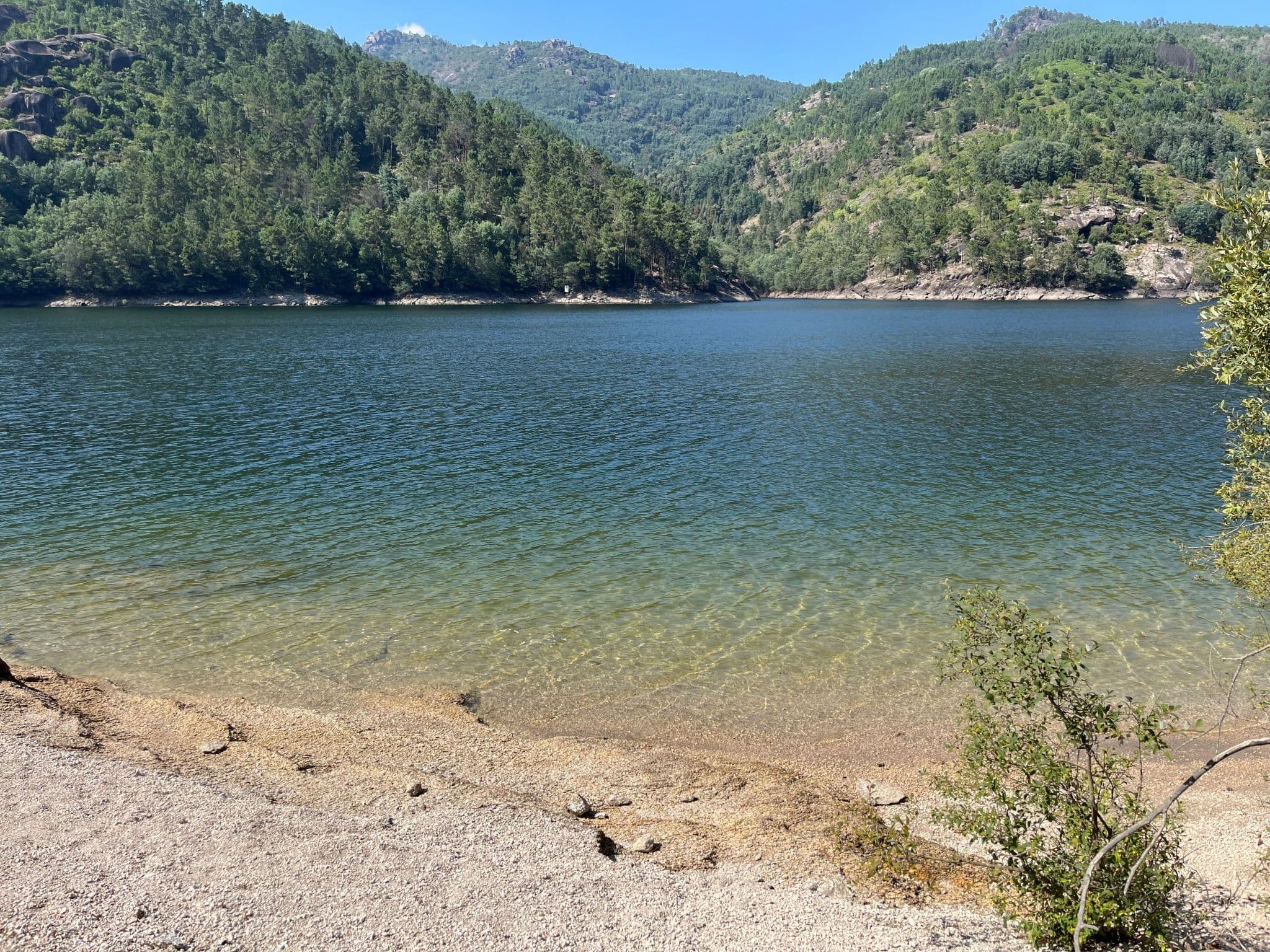 Gallery Image 42