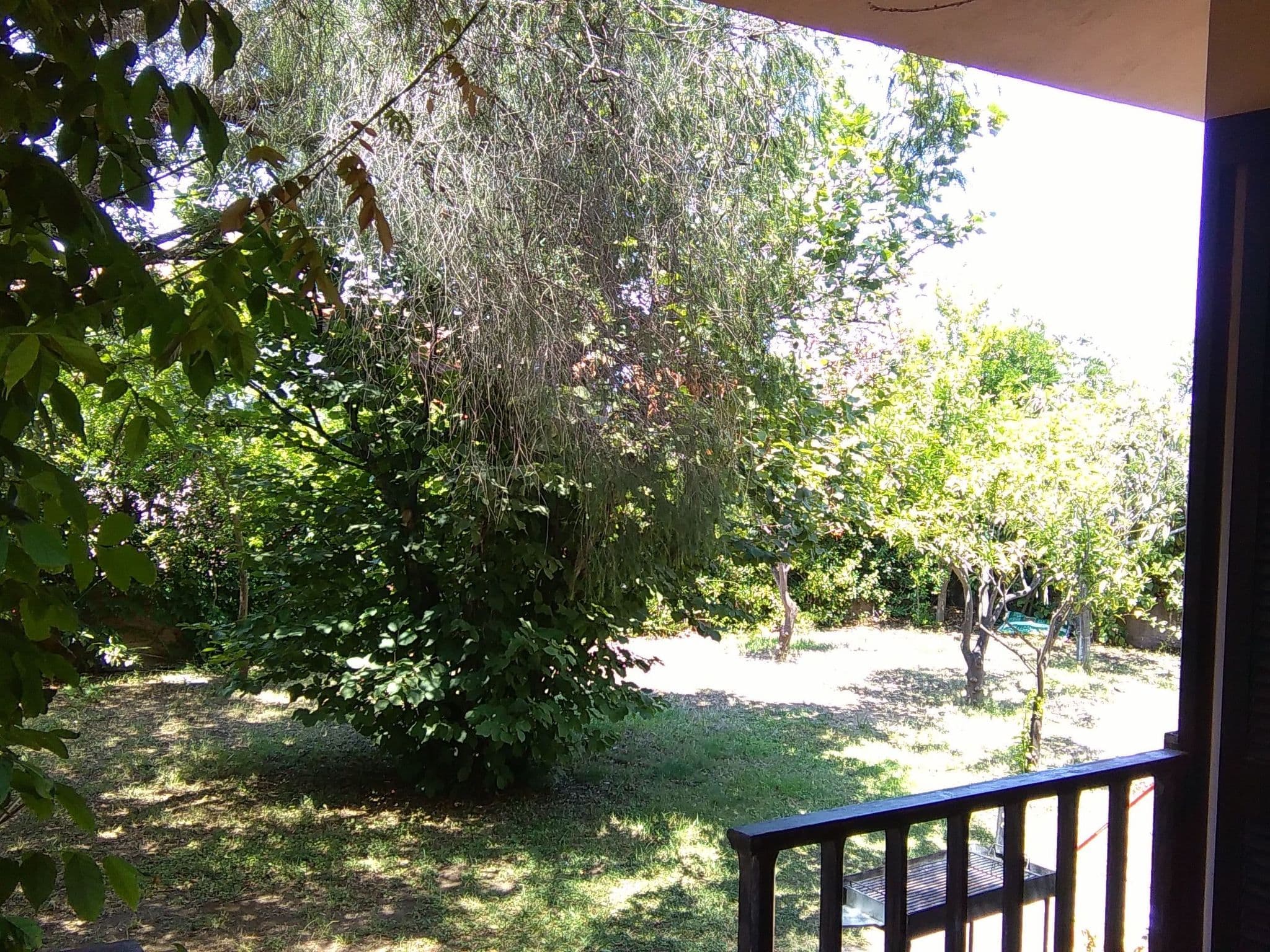 Gallery Image 25