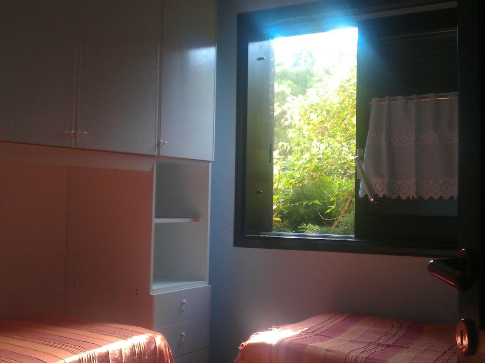 Gallery Image 15