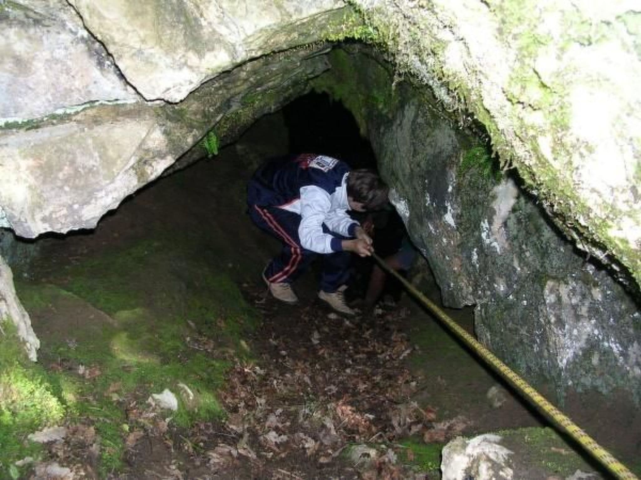 Gallery Image 36