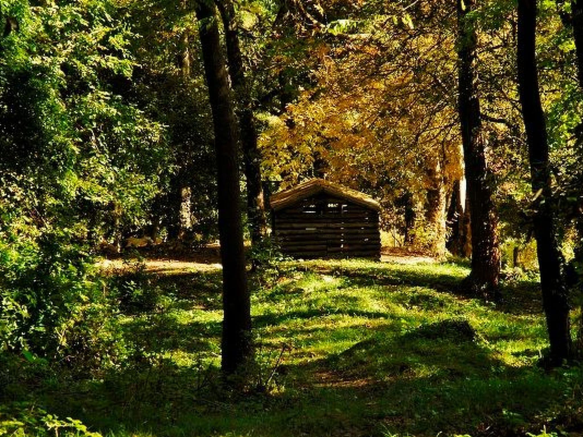 Gallery Image 8