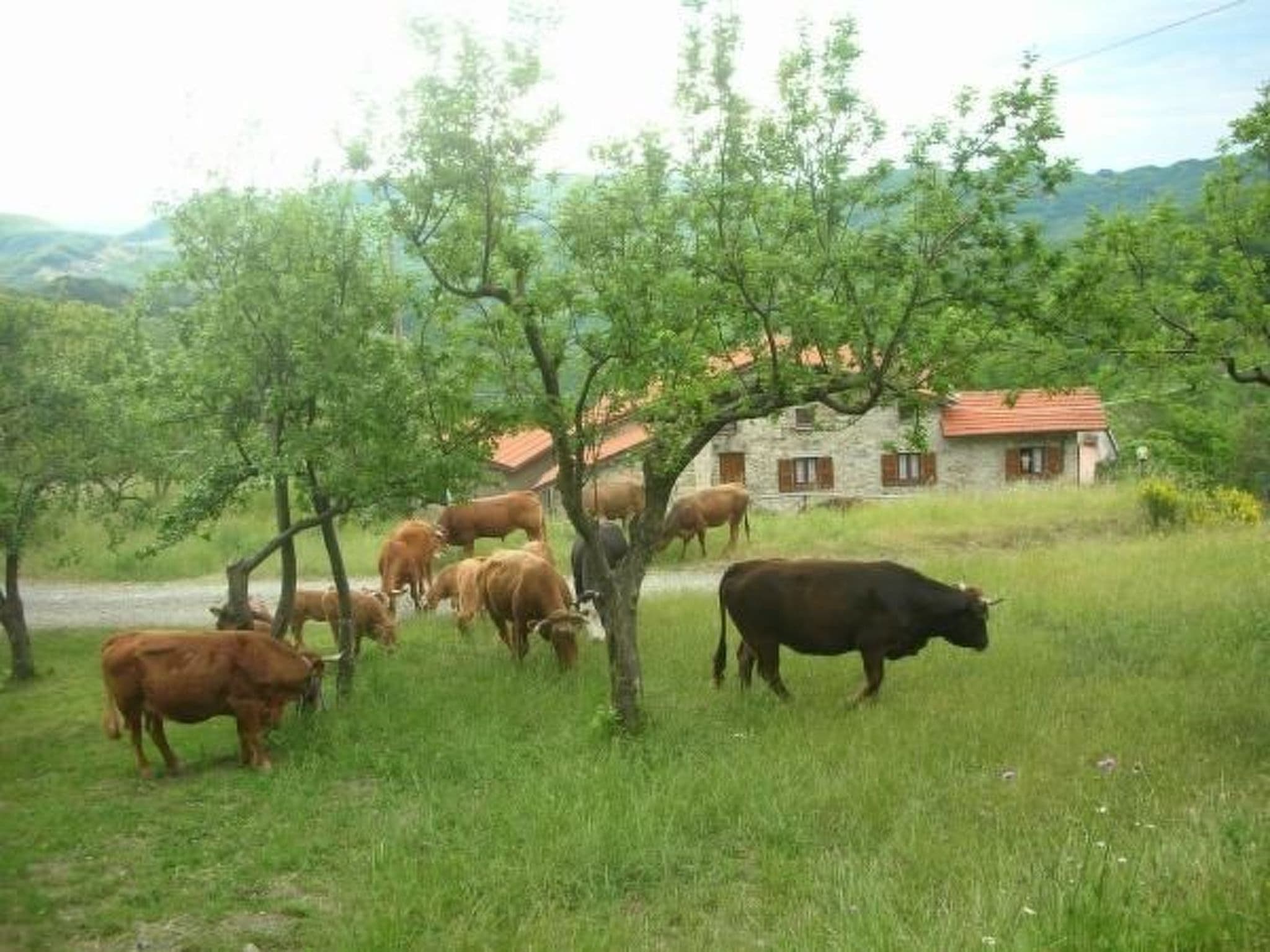 Gallery Image 23