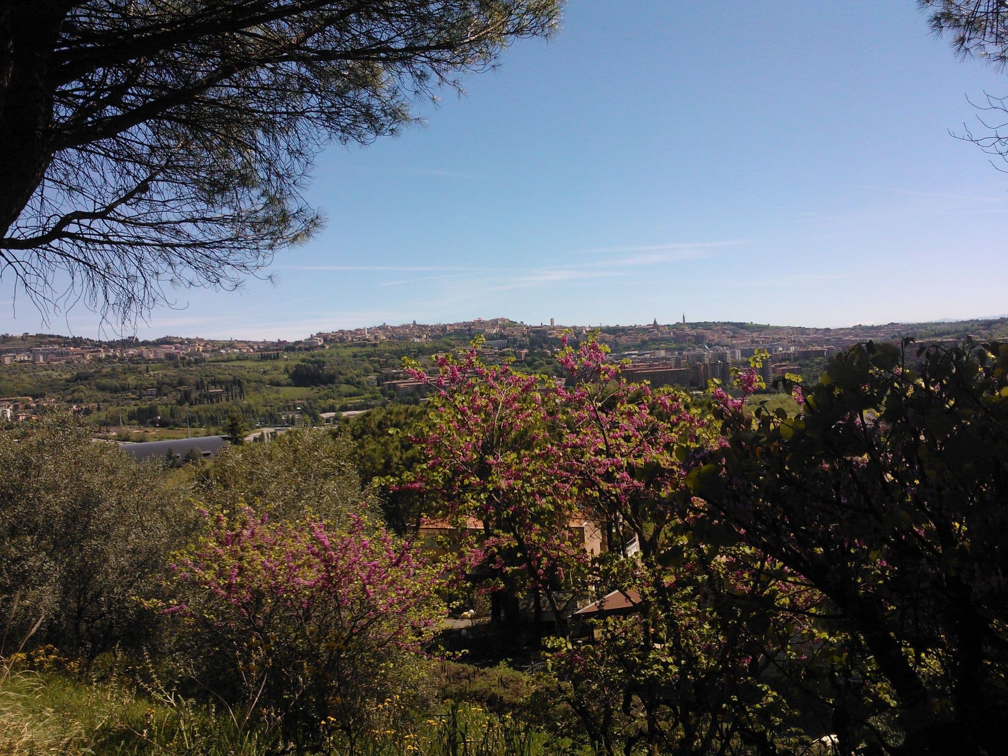 View