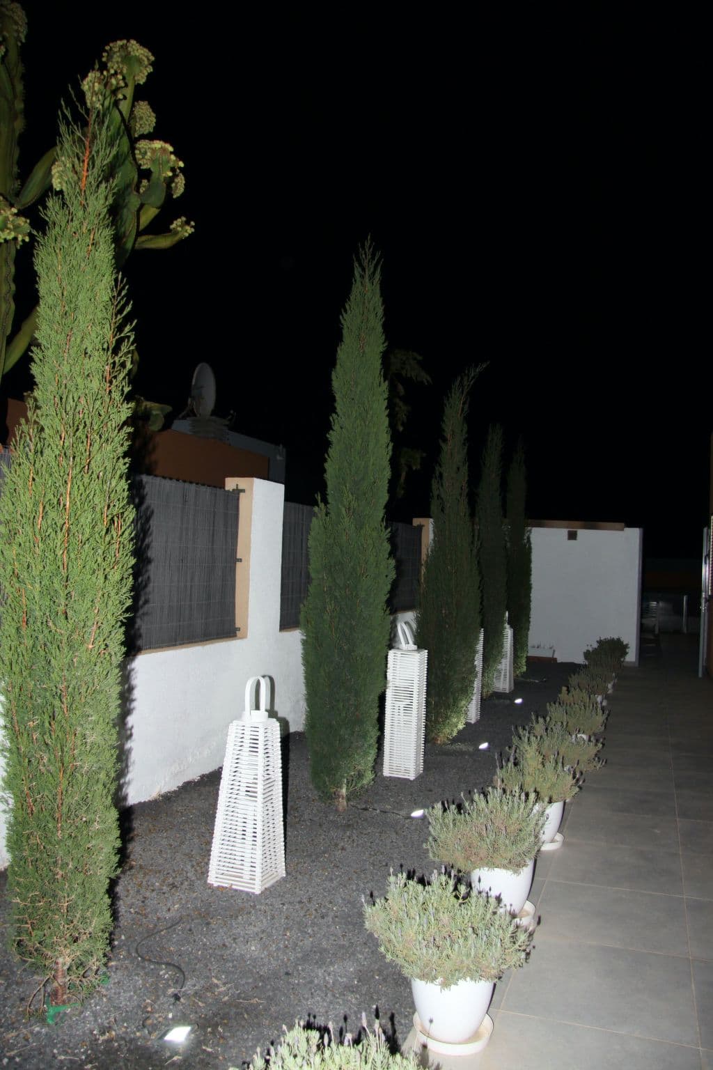 Gallery Image 31