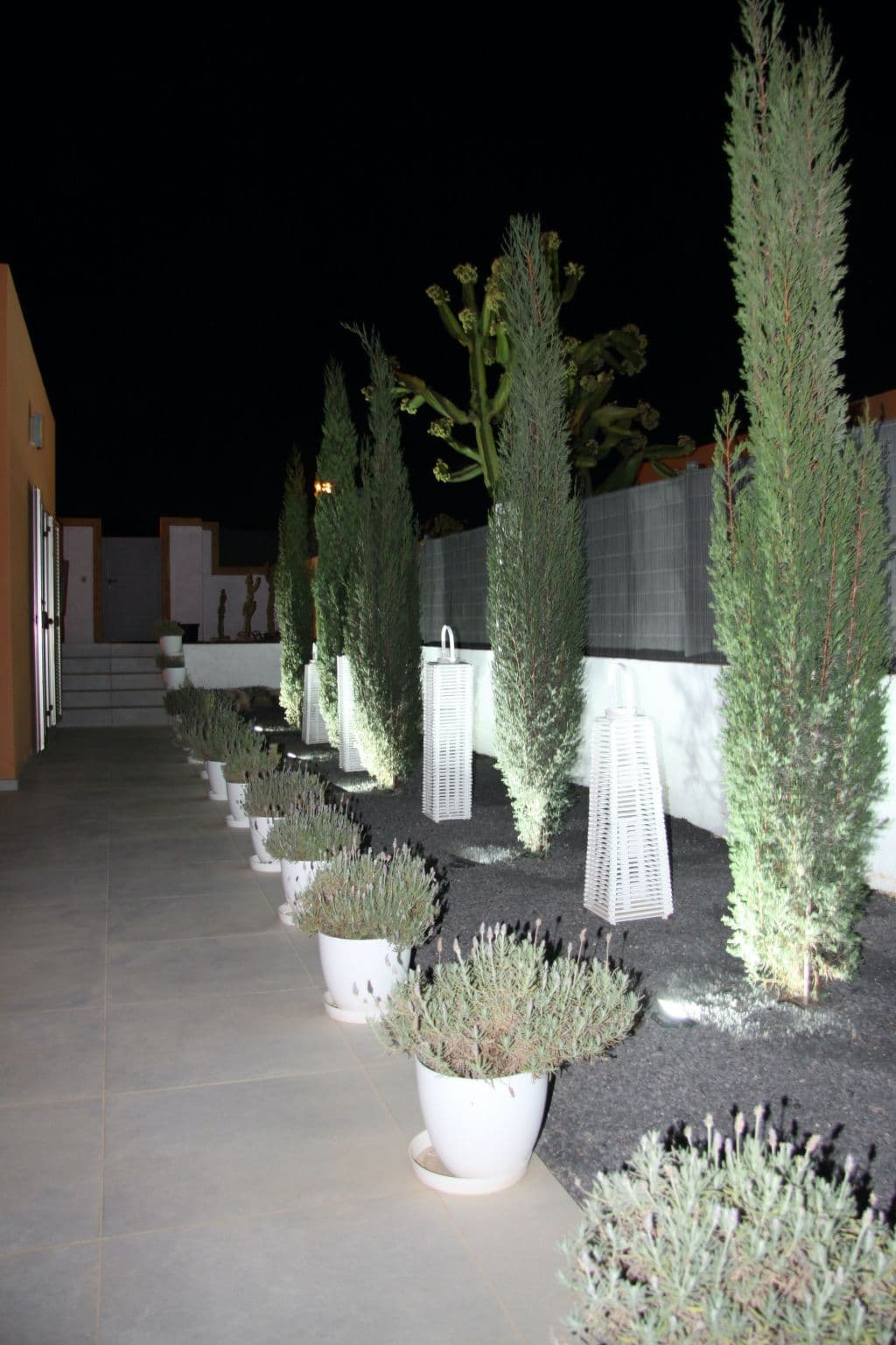 Gallery Image 32