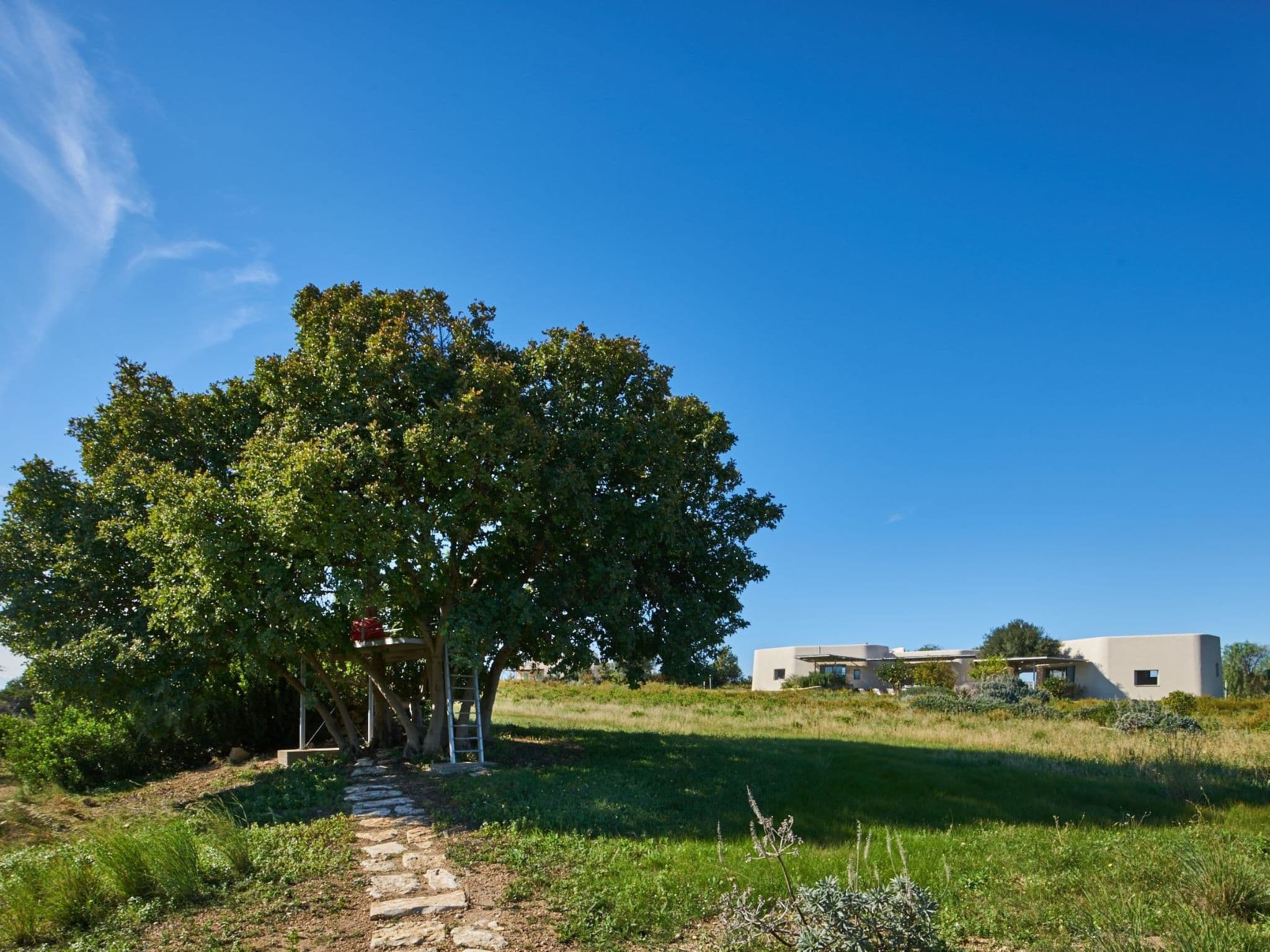 Gallery Image 12