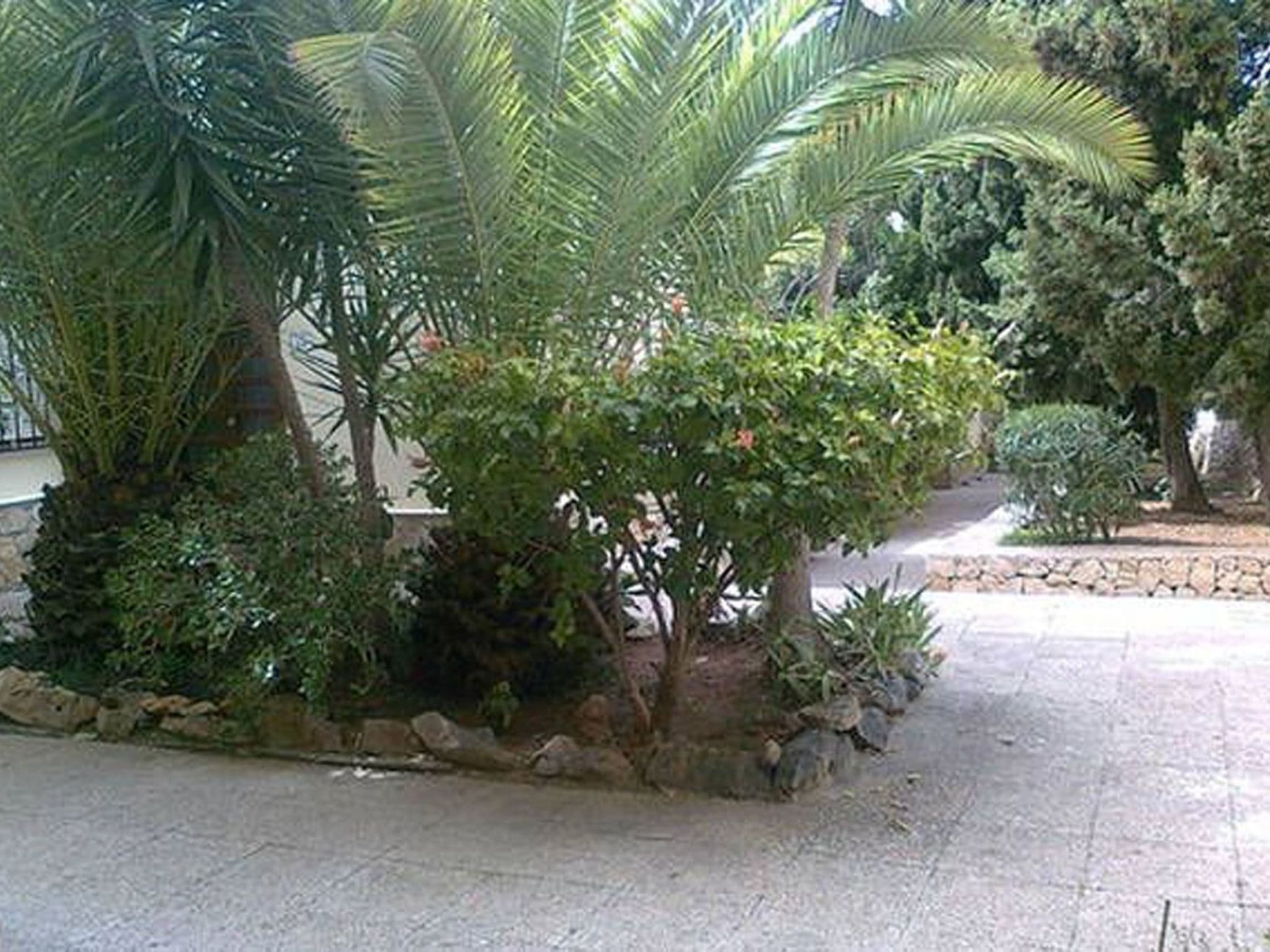 Gallery Image 24