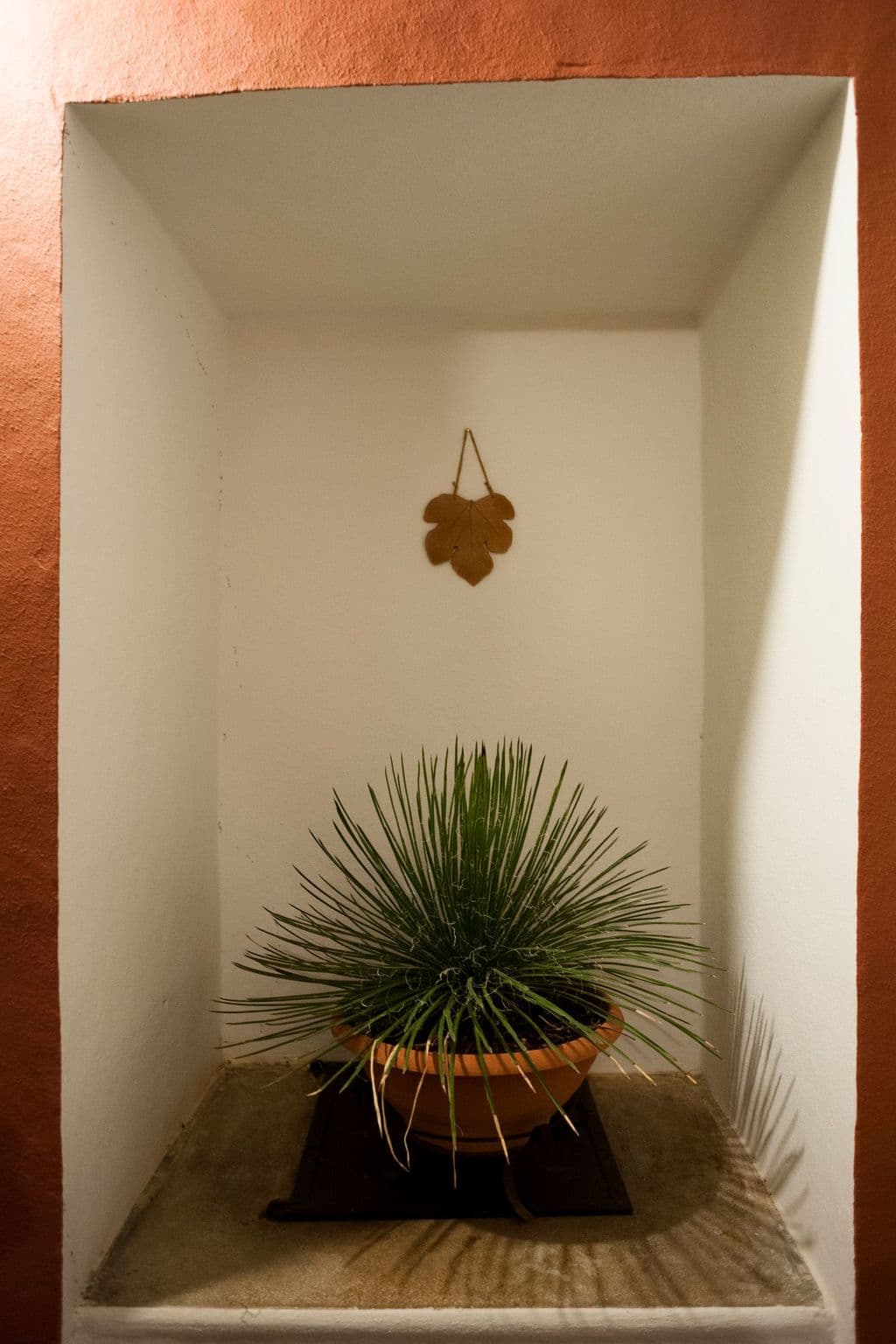 Gallery Image 34