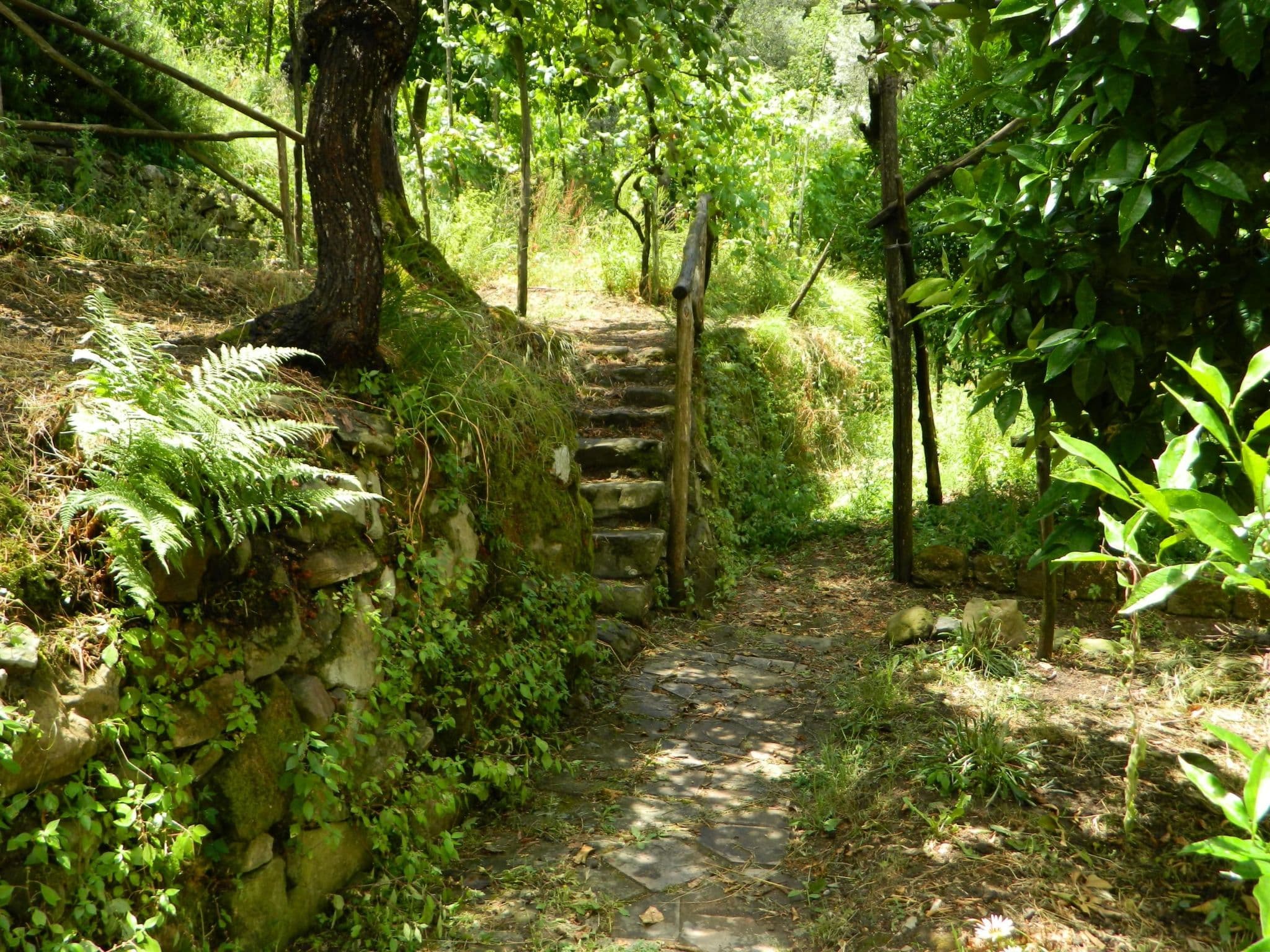 Gallery Image 28