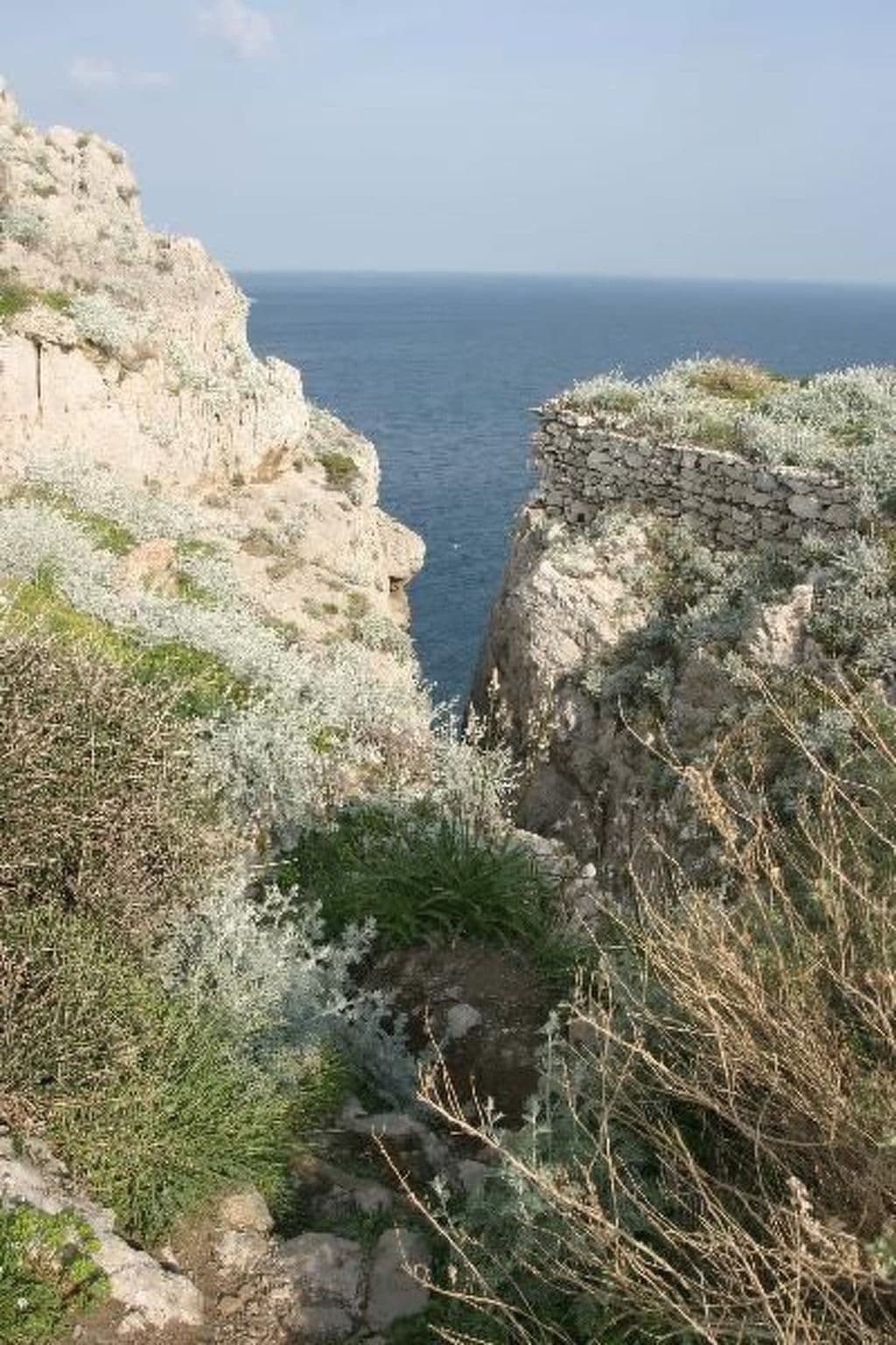 Gallery Image 17