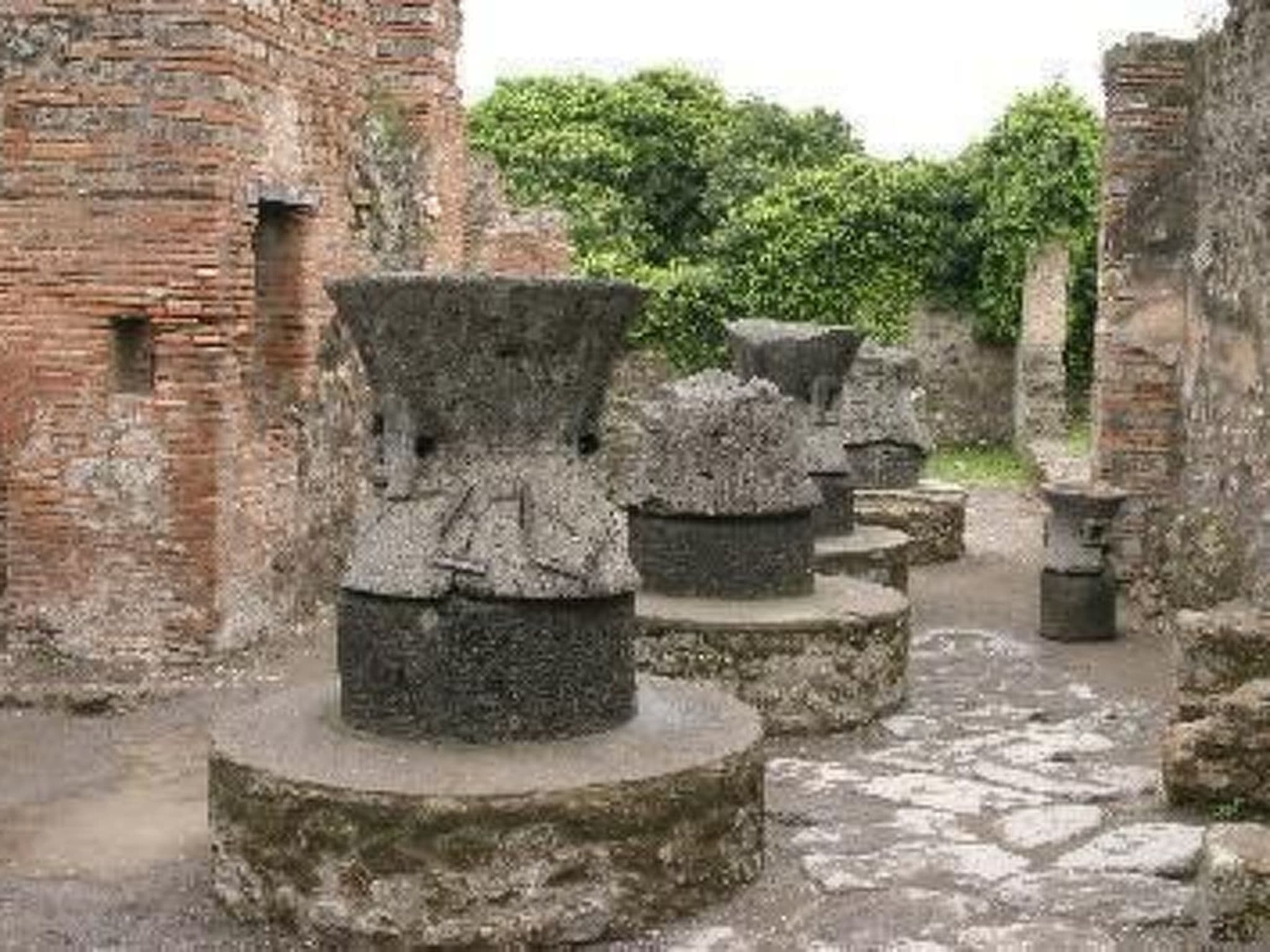 Gallery Image 18