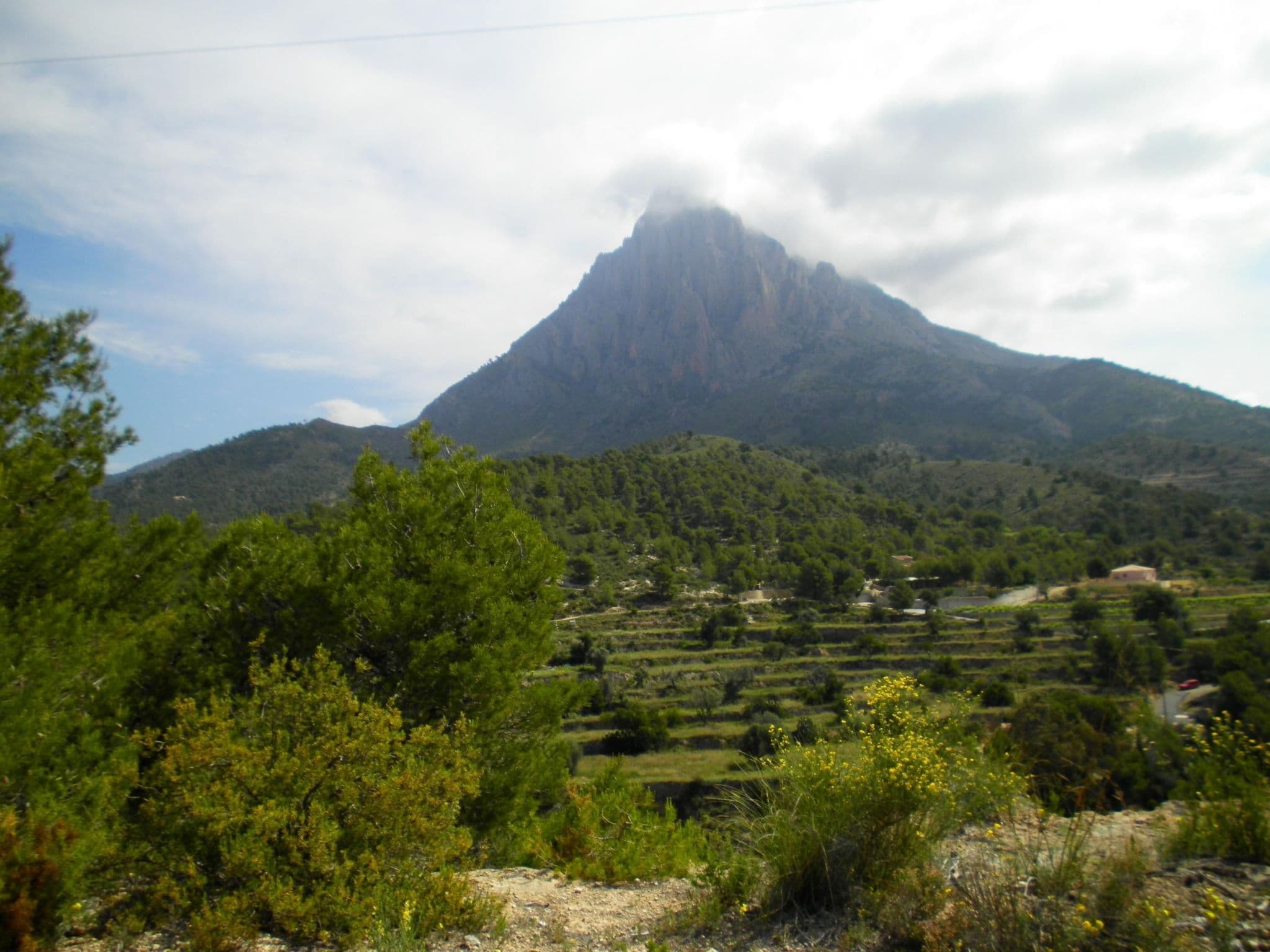 Gallery Image 20