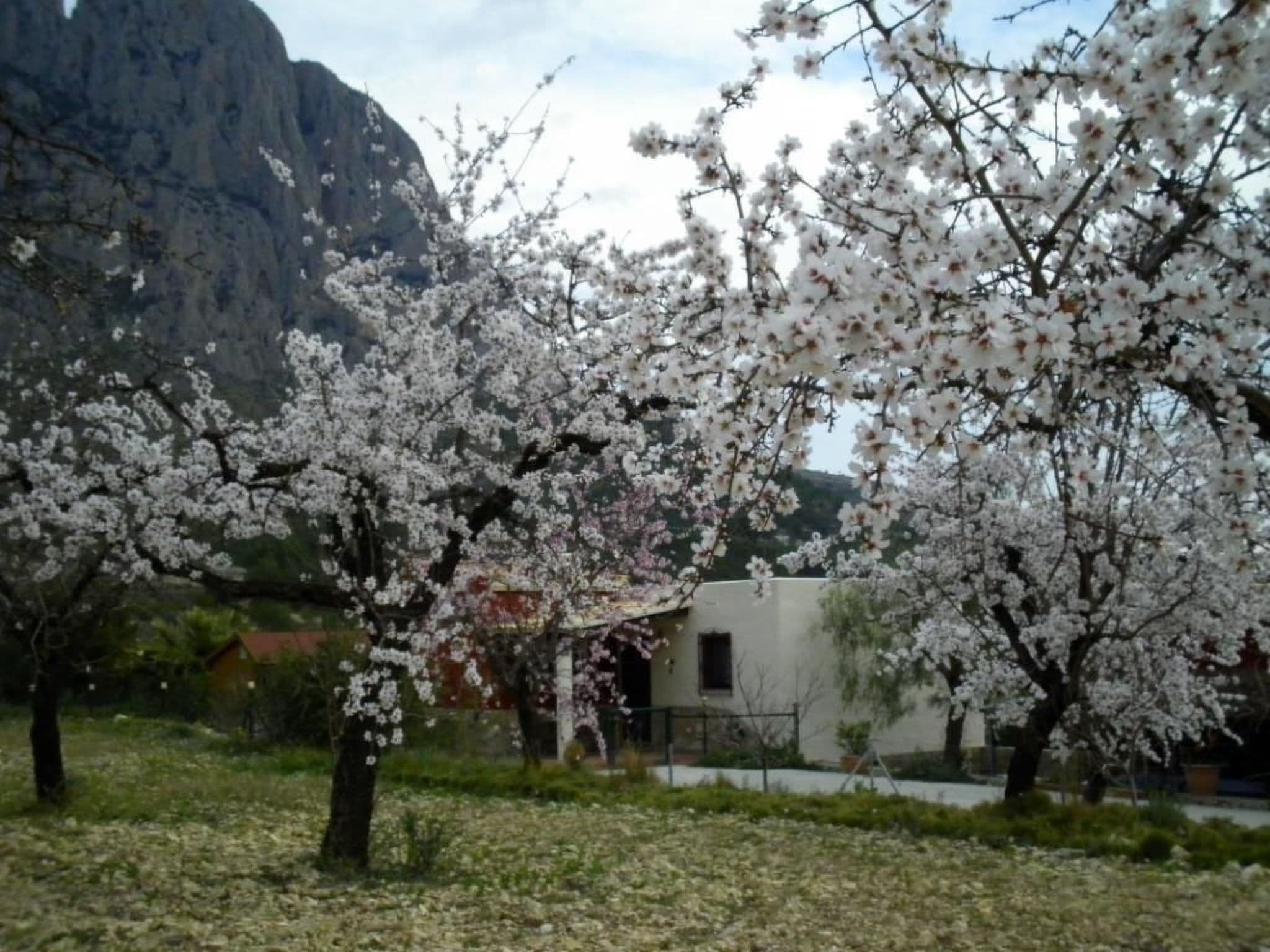 Gallery Image 19