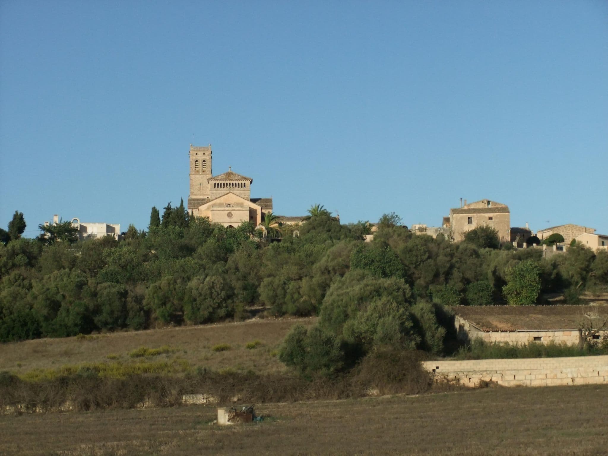 Gallery Image 31