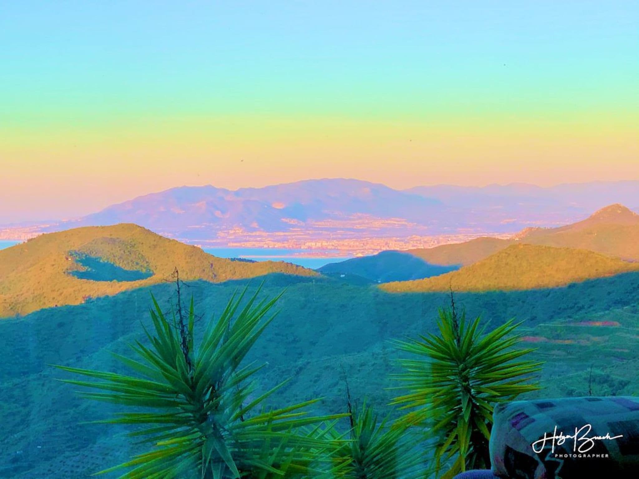 View