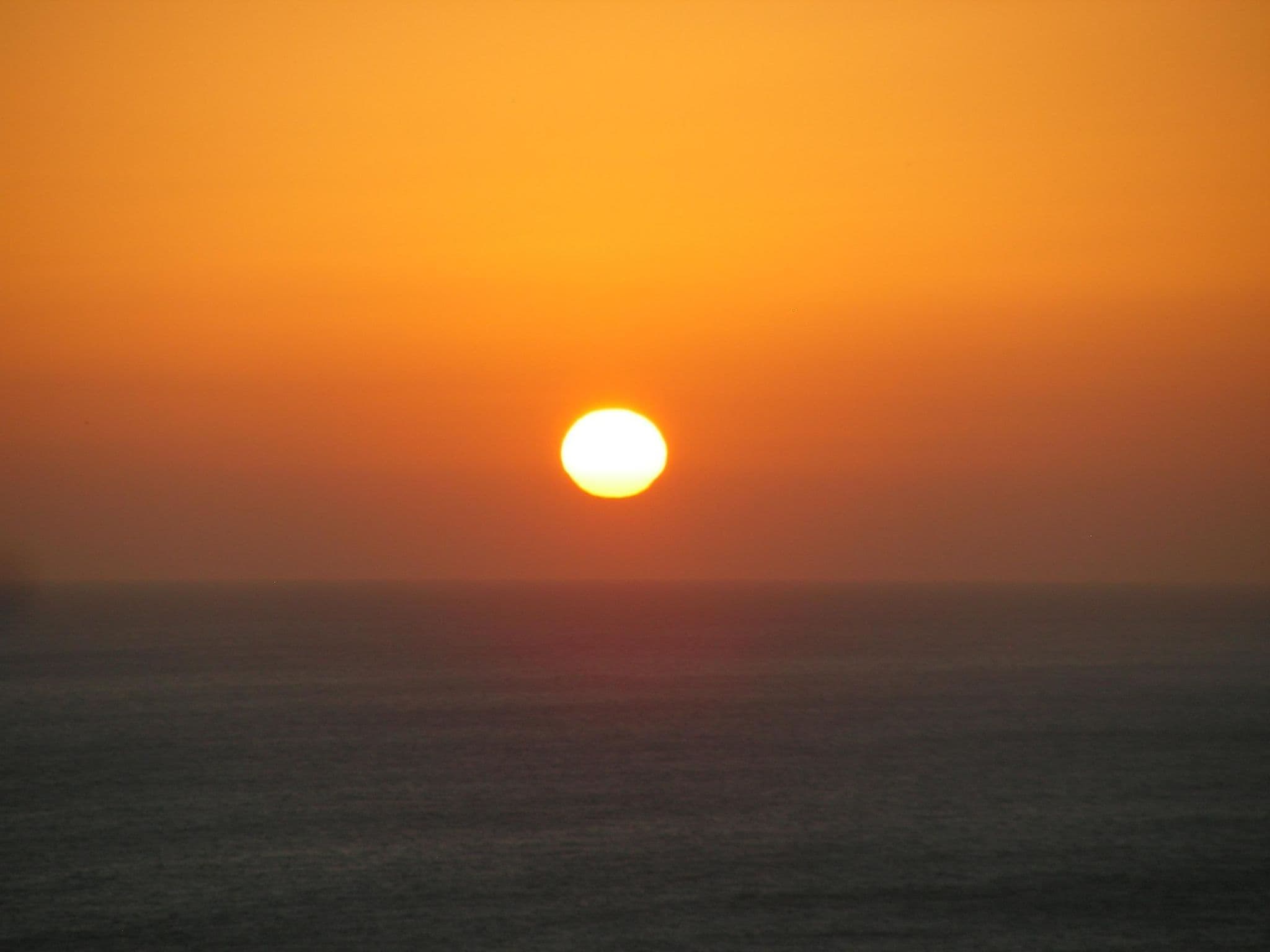 Gallery Image 29