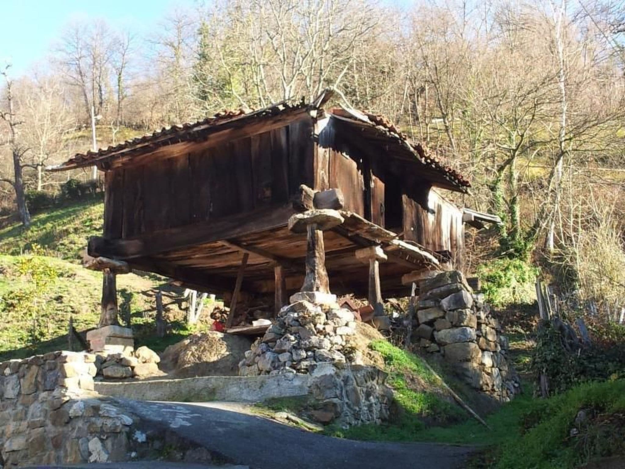 Gallery Image 61