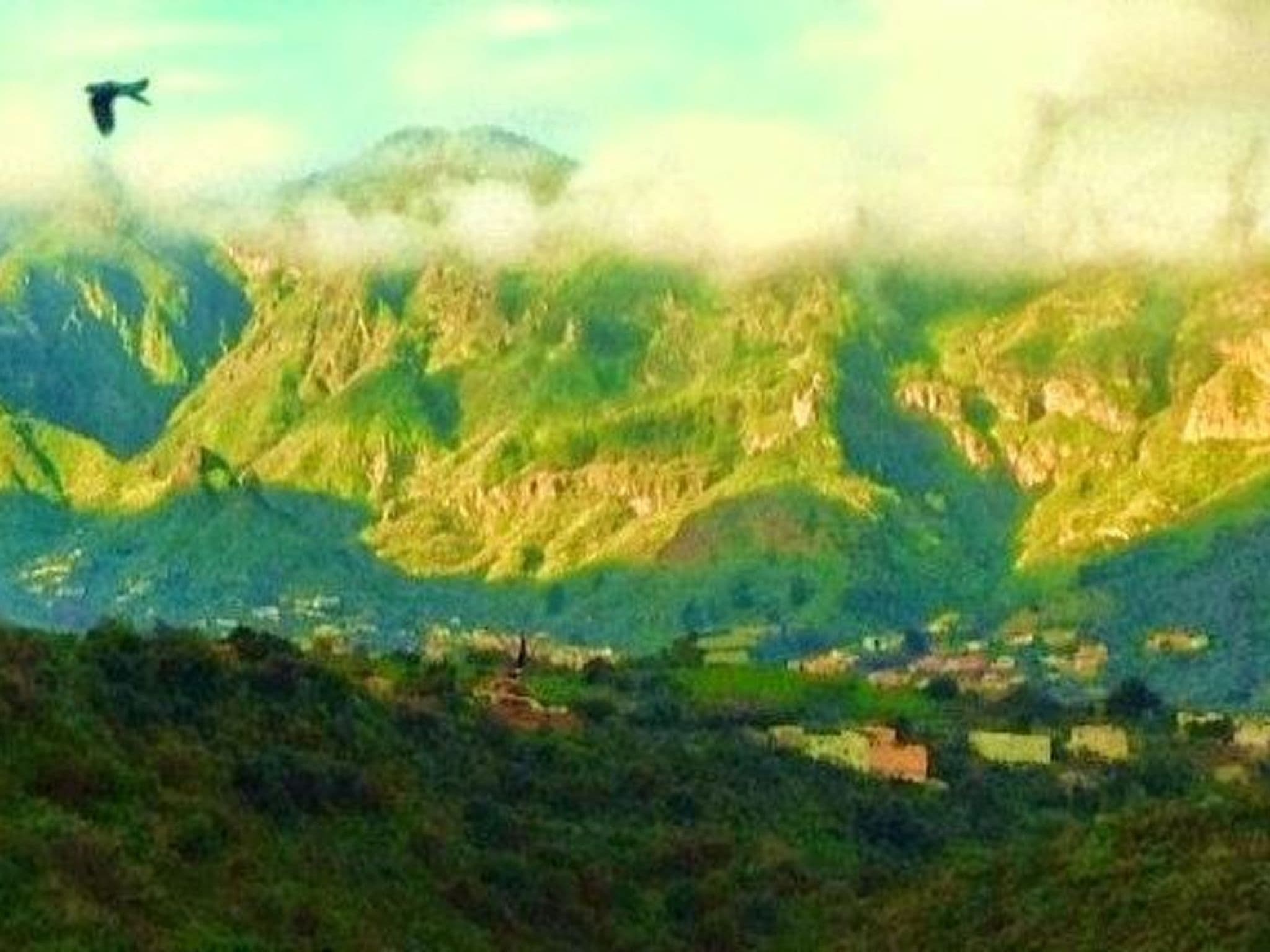 View