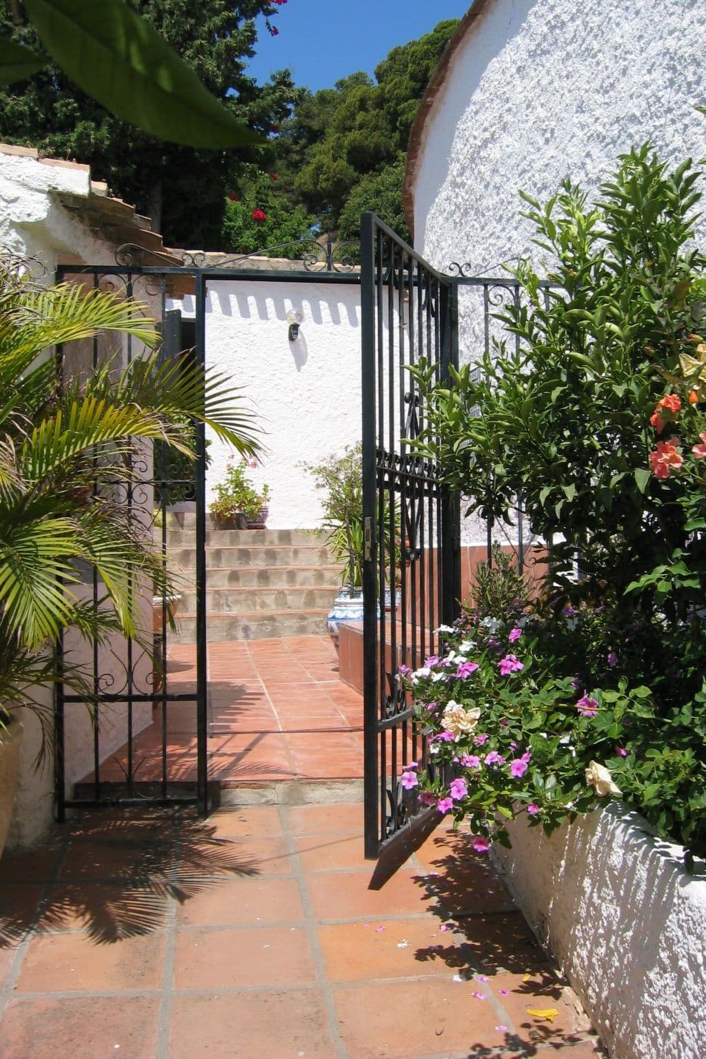 Gallery Image 7