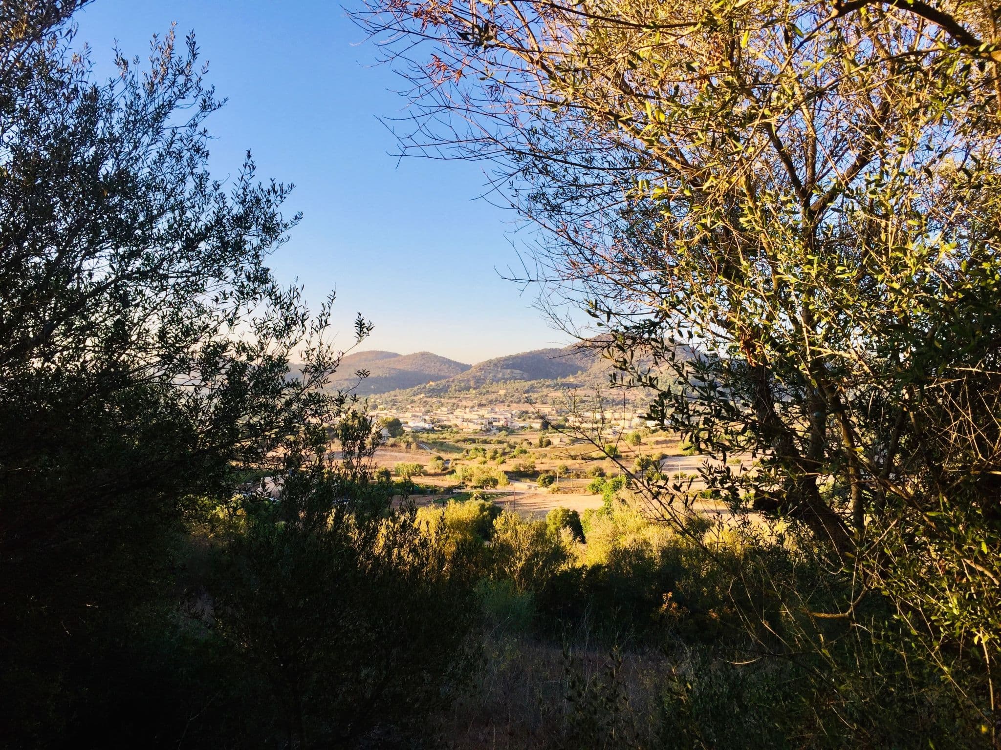 View