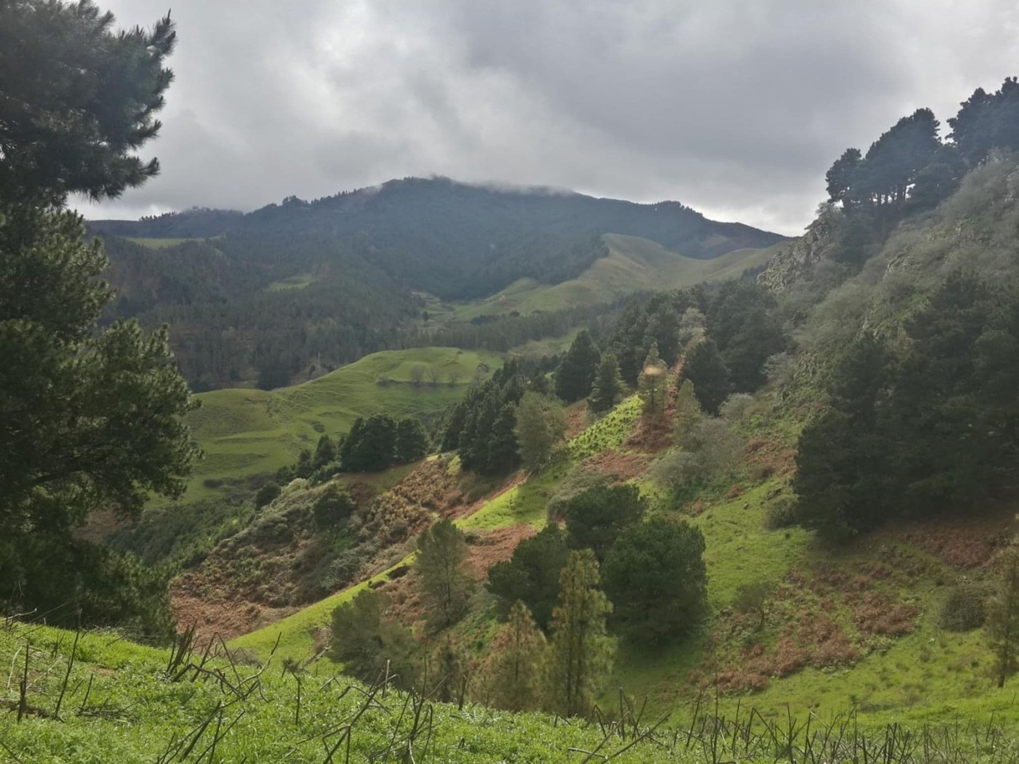 View