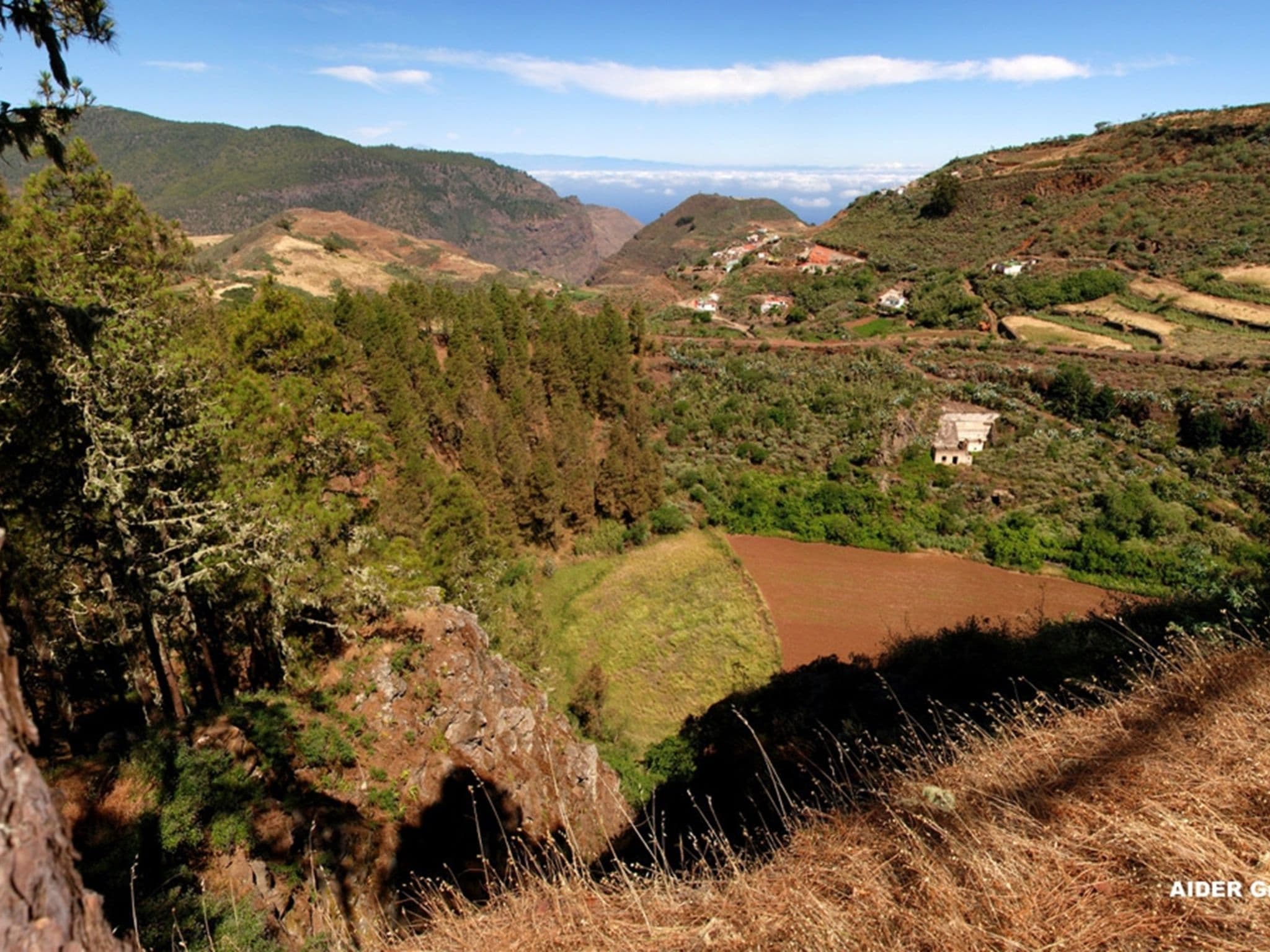 View