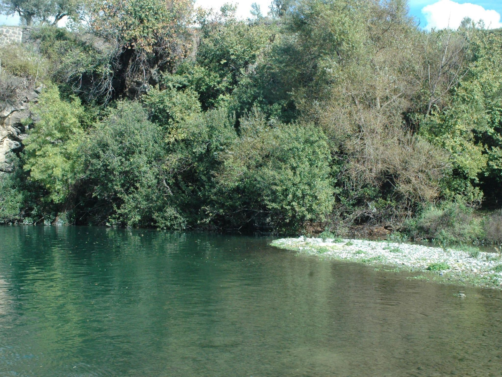 Gallery Image 31