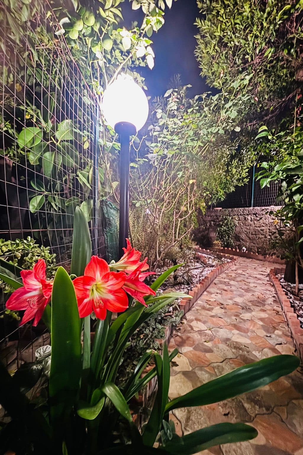 Gallery Image 12