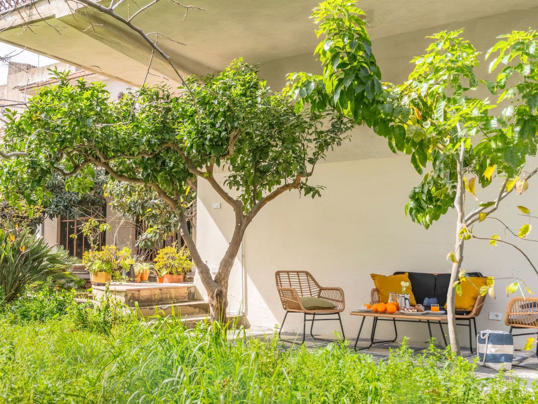 Terrace