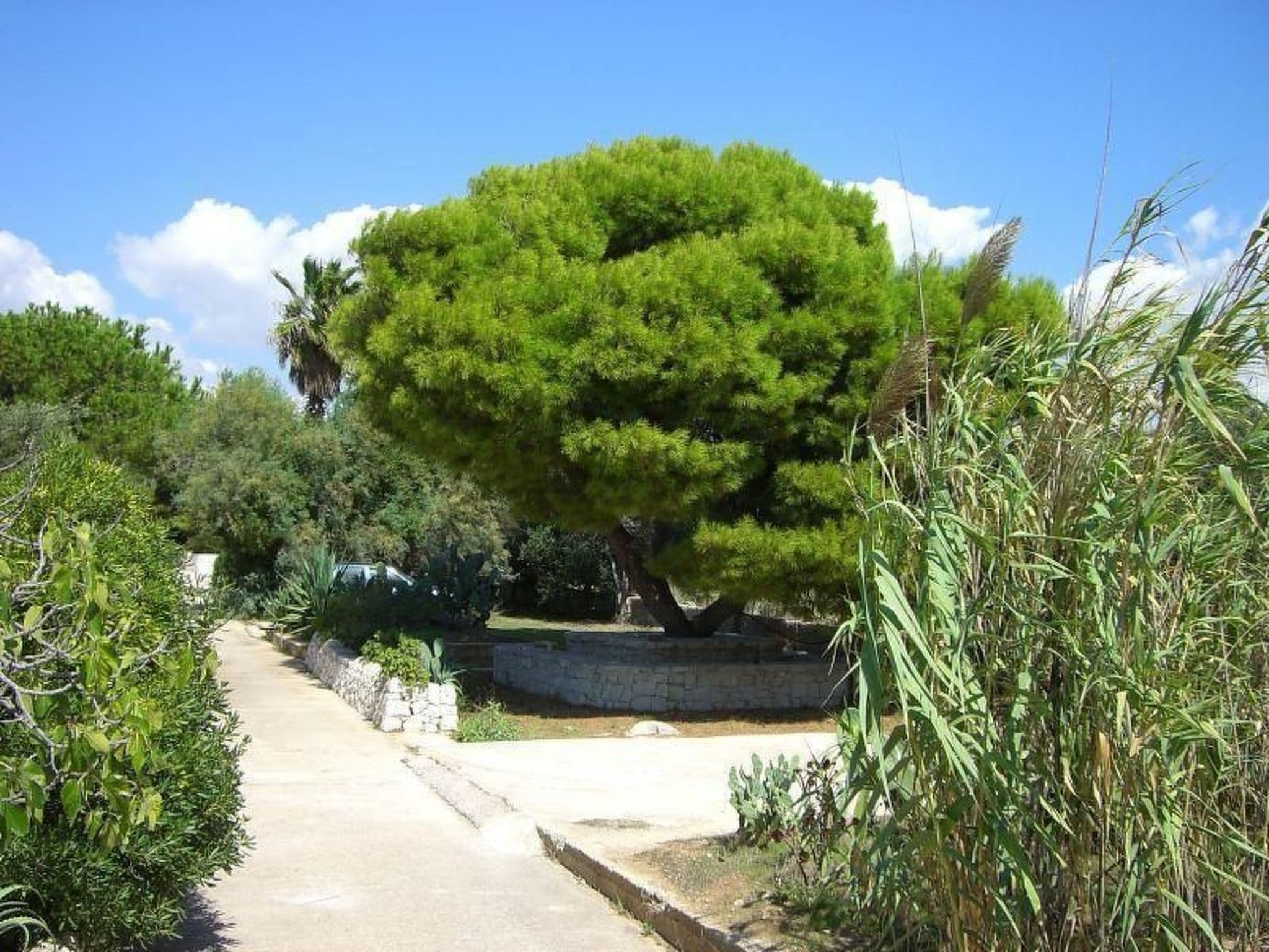 Gallery Image 21