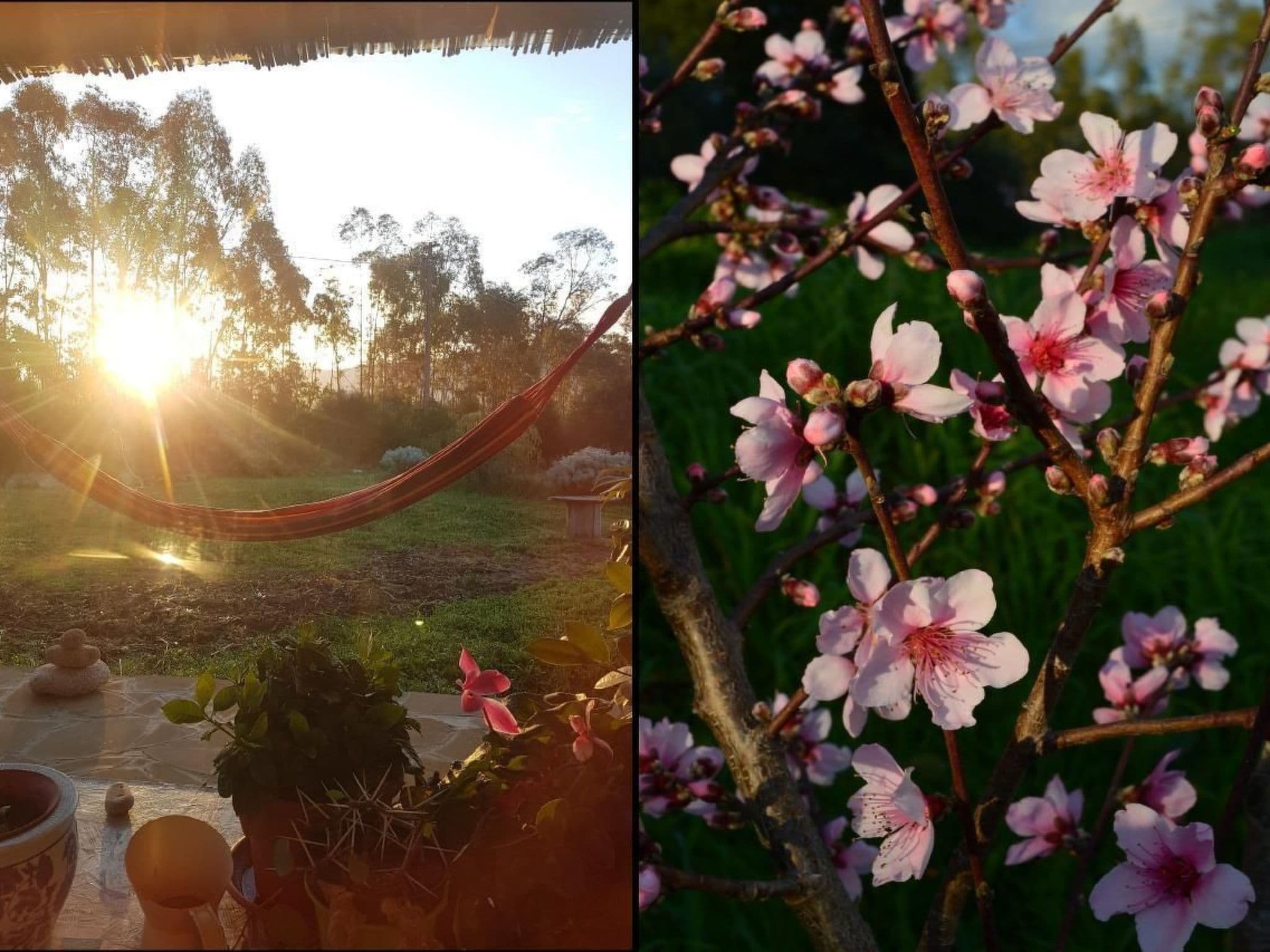 Gallery Image 19