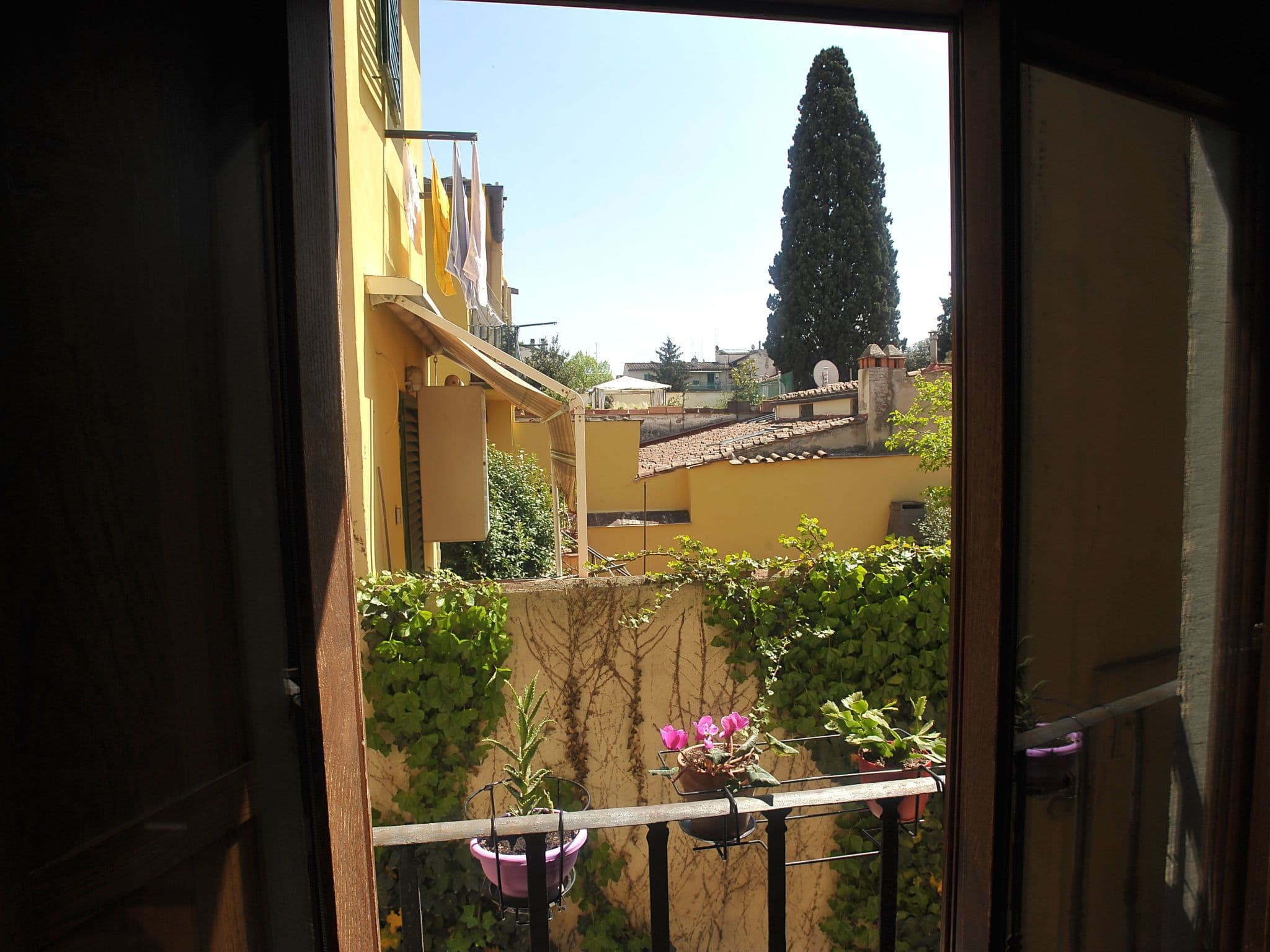 Gallery Image 43