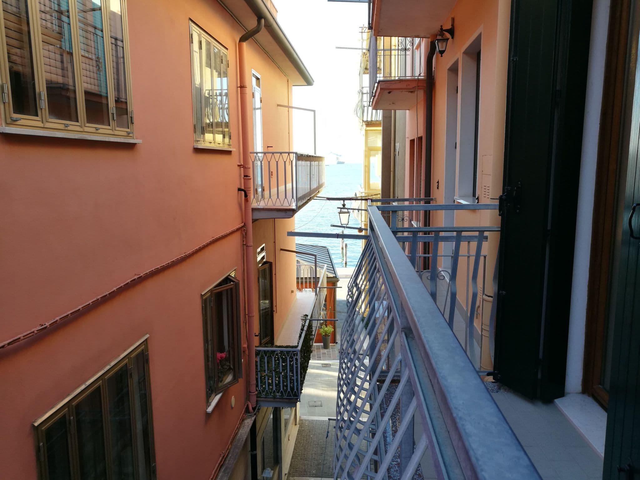 Gallery Image 9