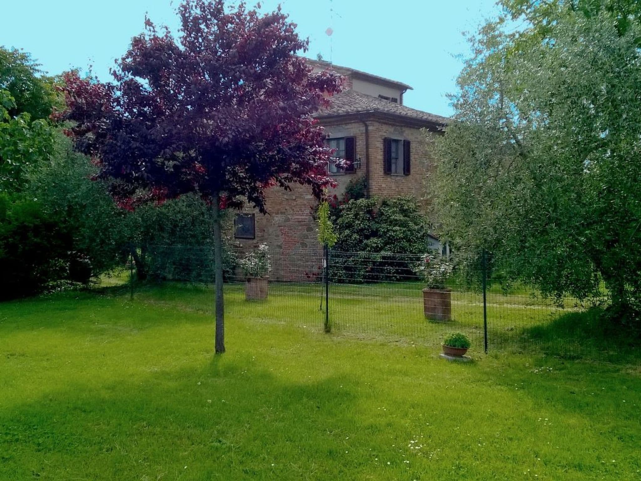 Gallery Image 10