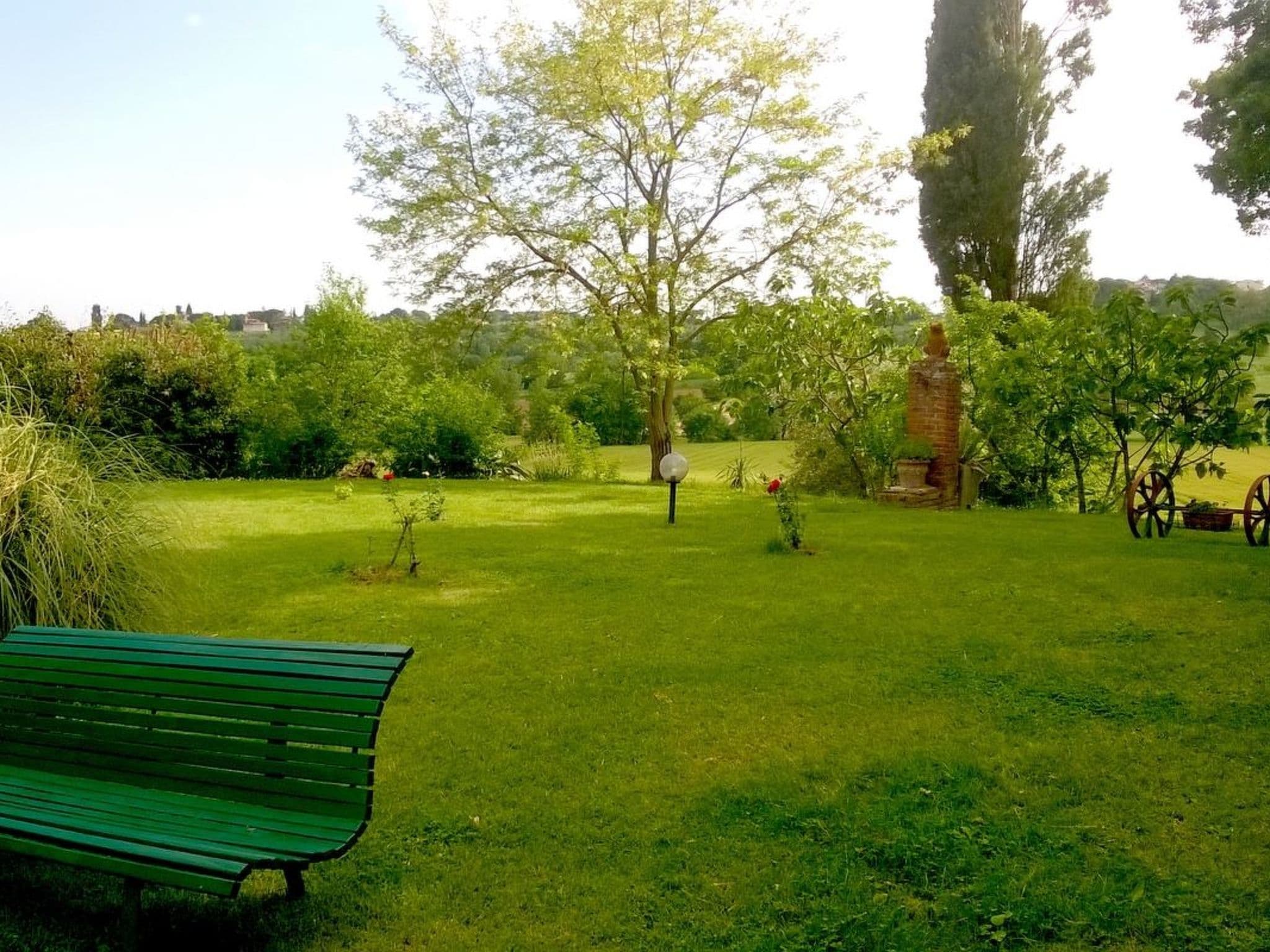 Gallery Image 11