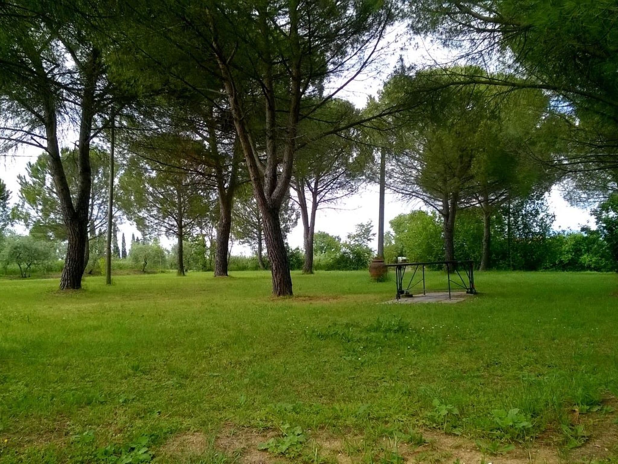 Gallery Image 12