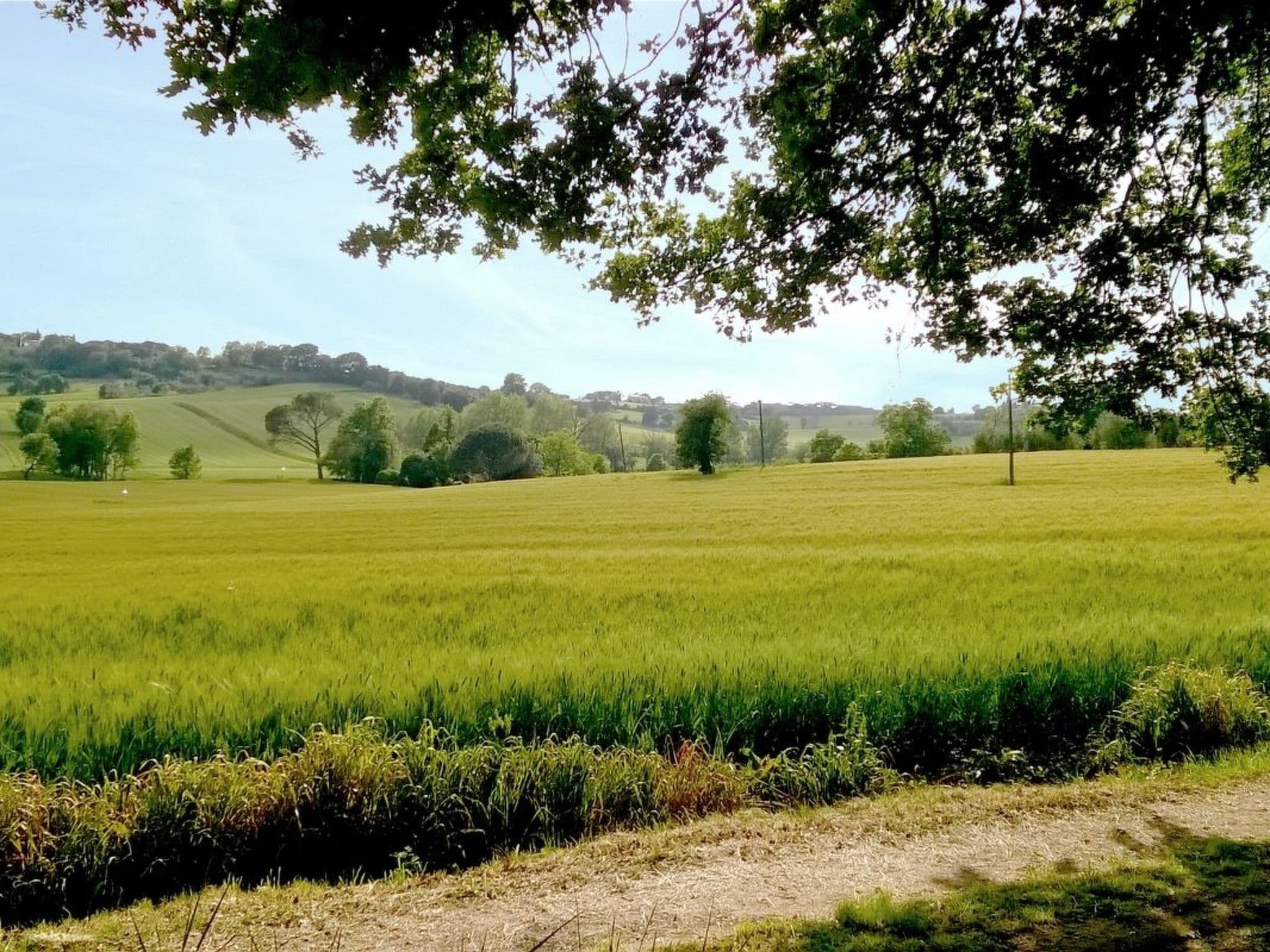 Gallery Image 15
