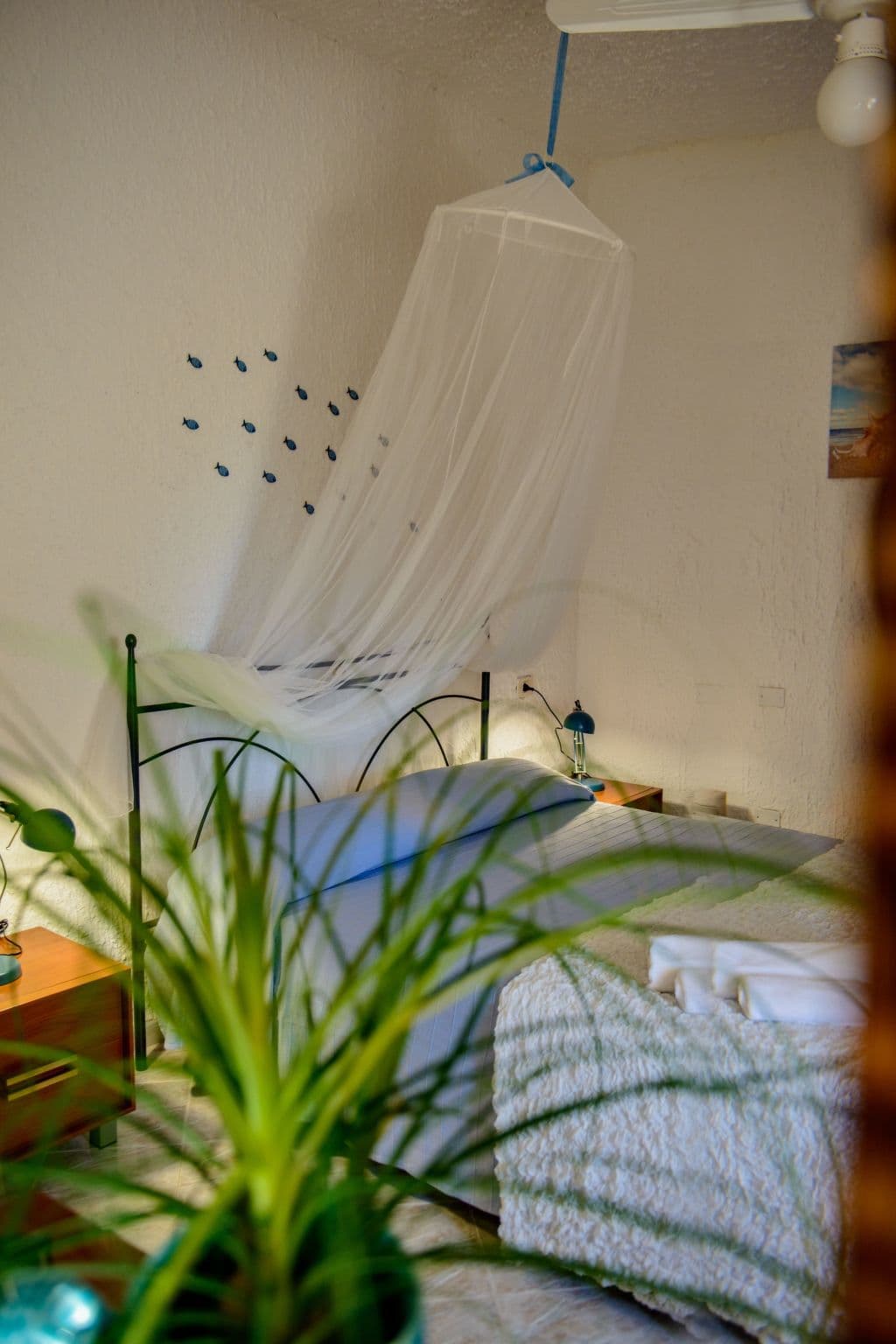 Gallery Image 20