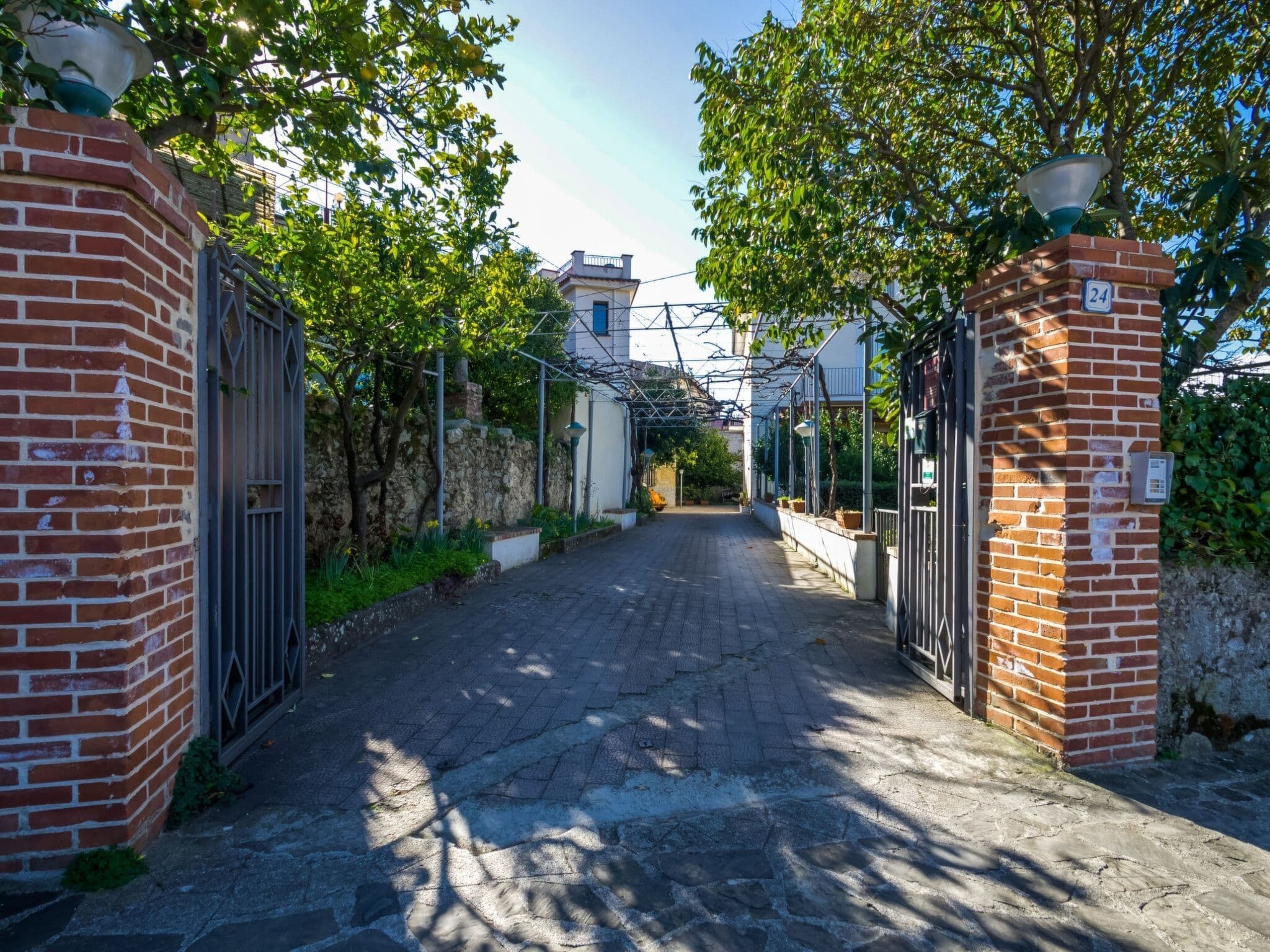 Gallery Image 21