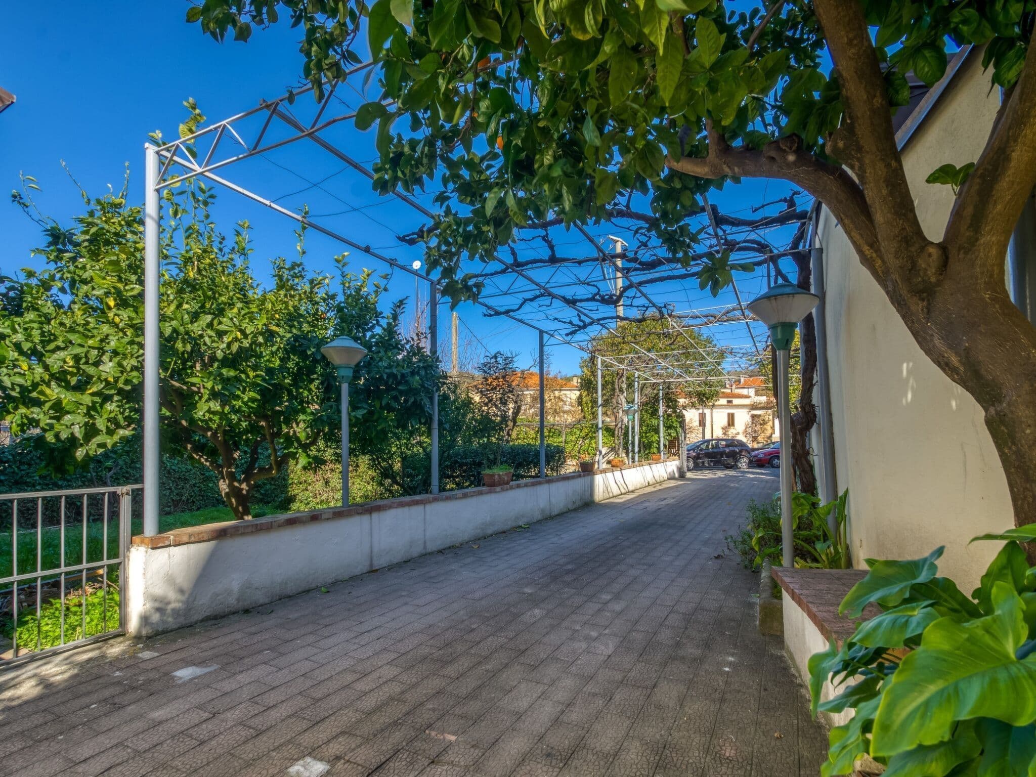 Gallery Image 13