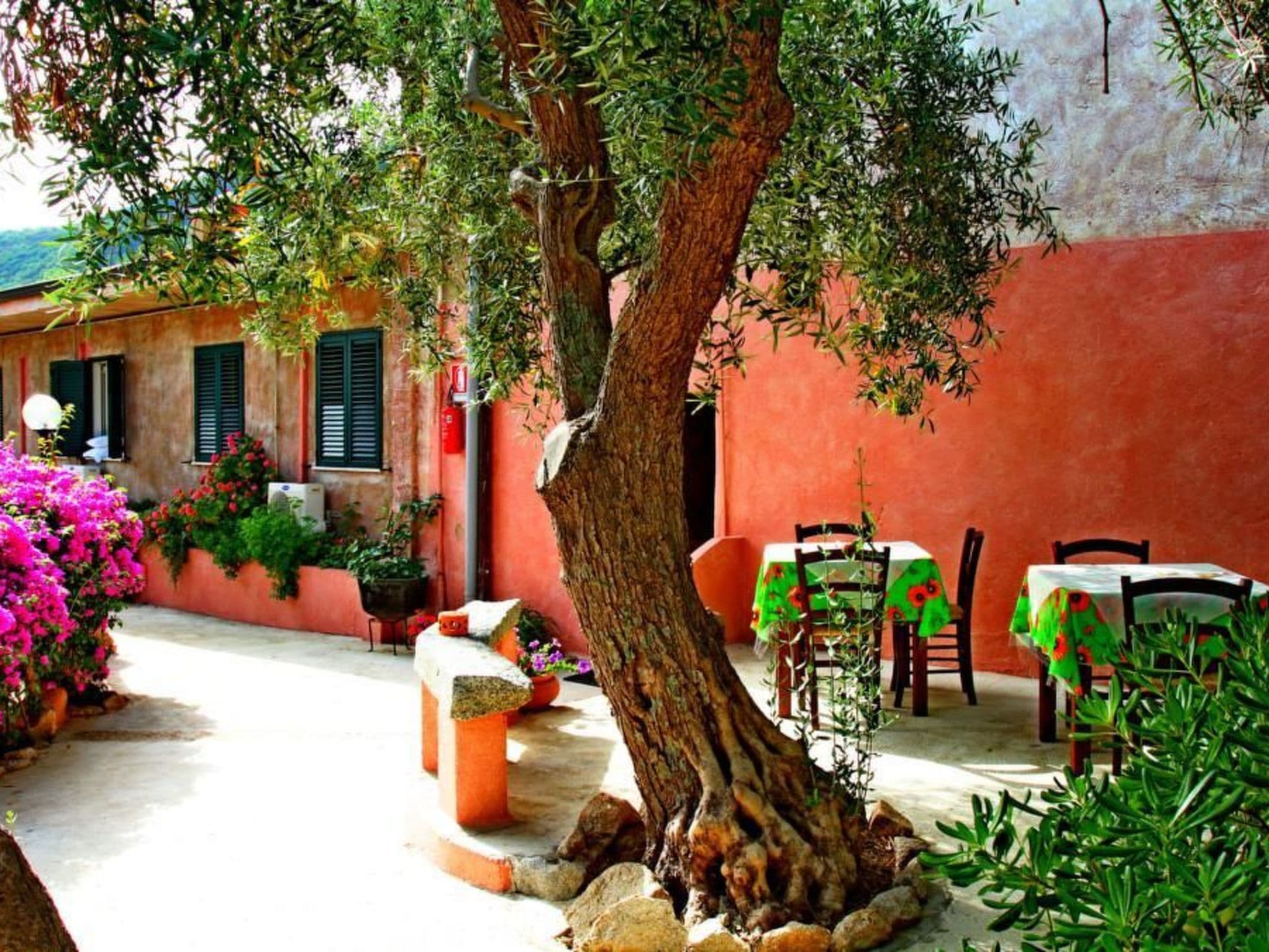 Terrace