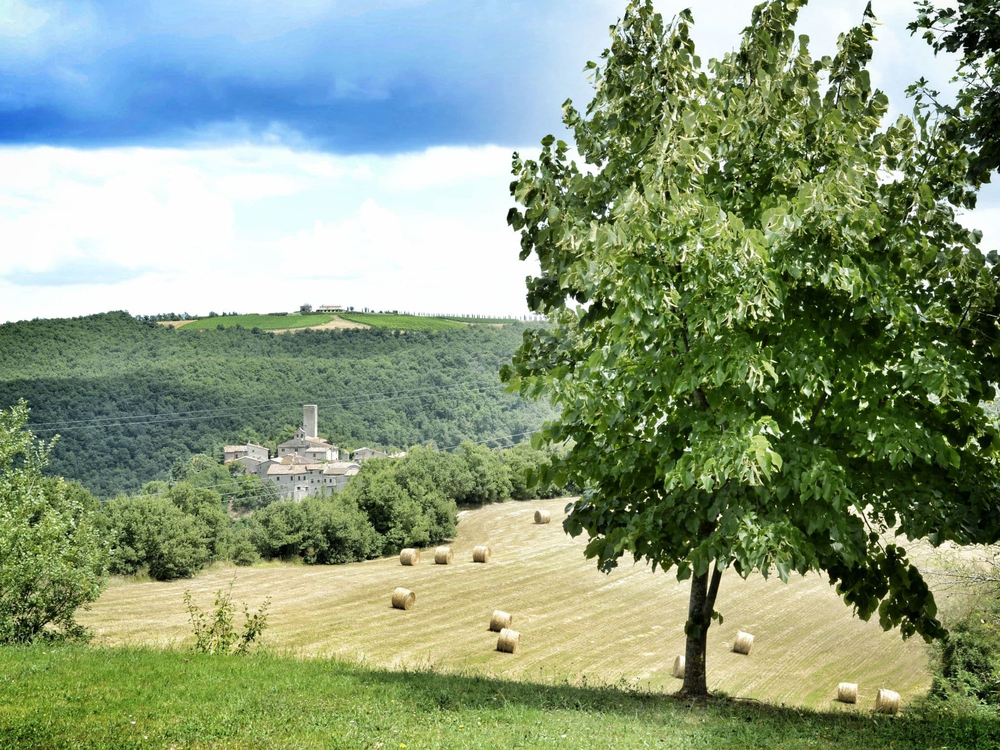 View
