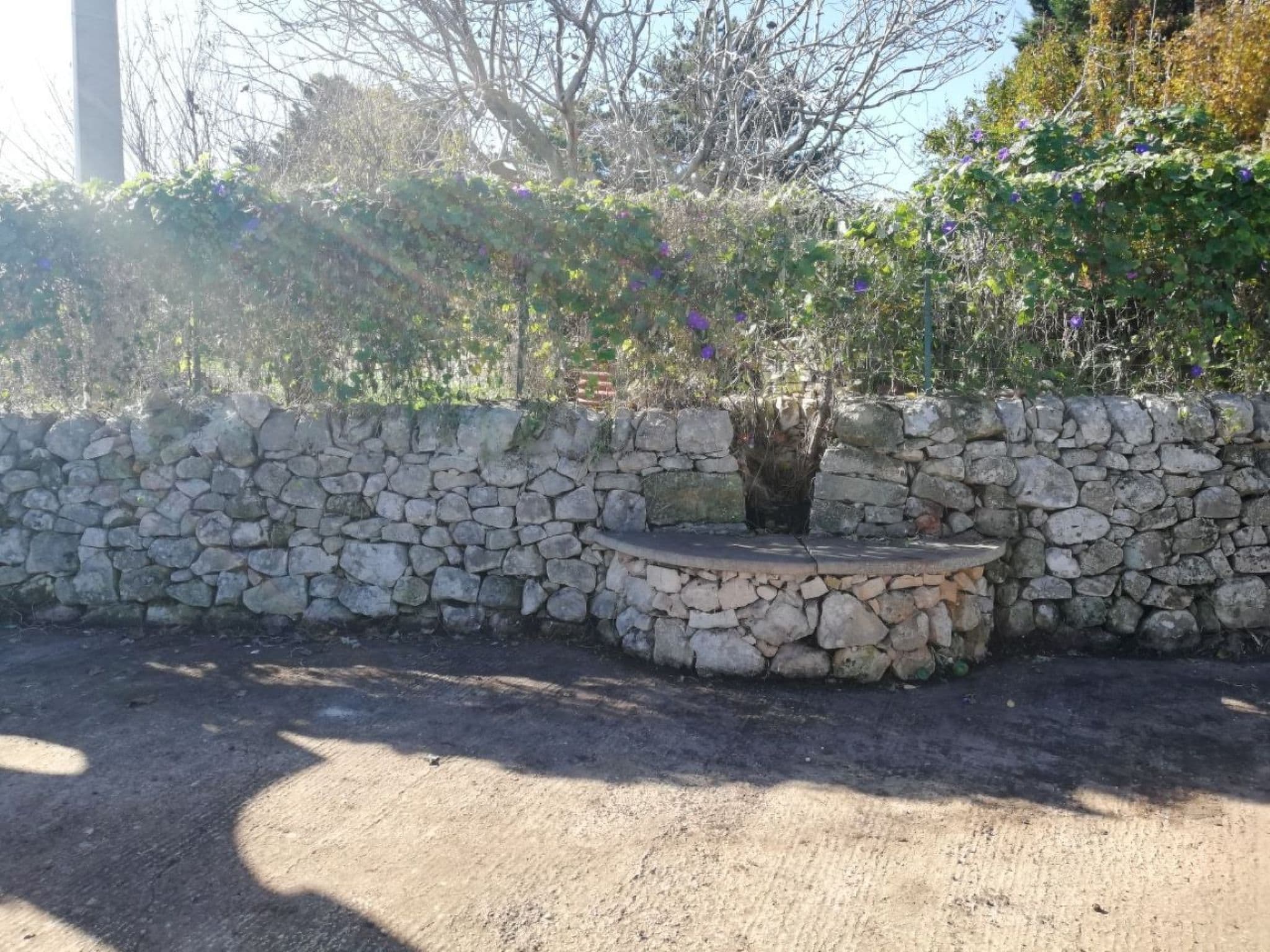 Gallery Image 21