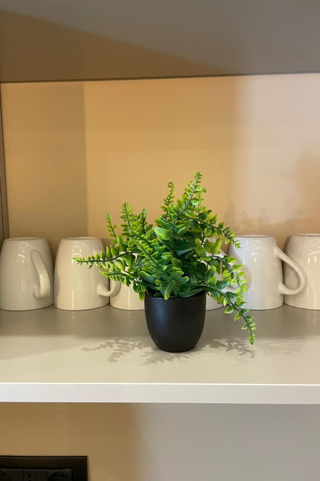 Gallery Image 14