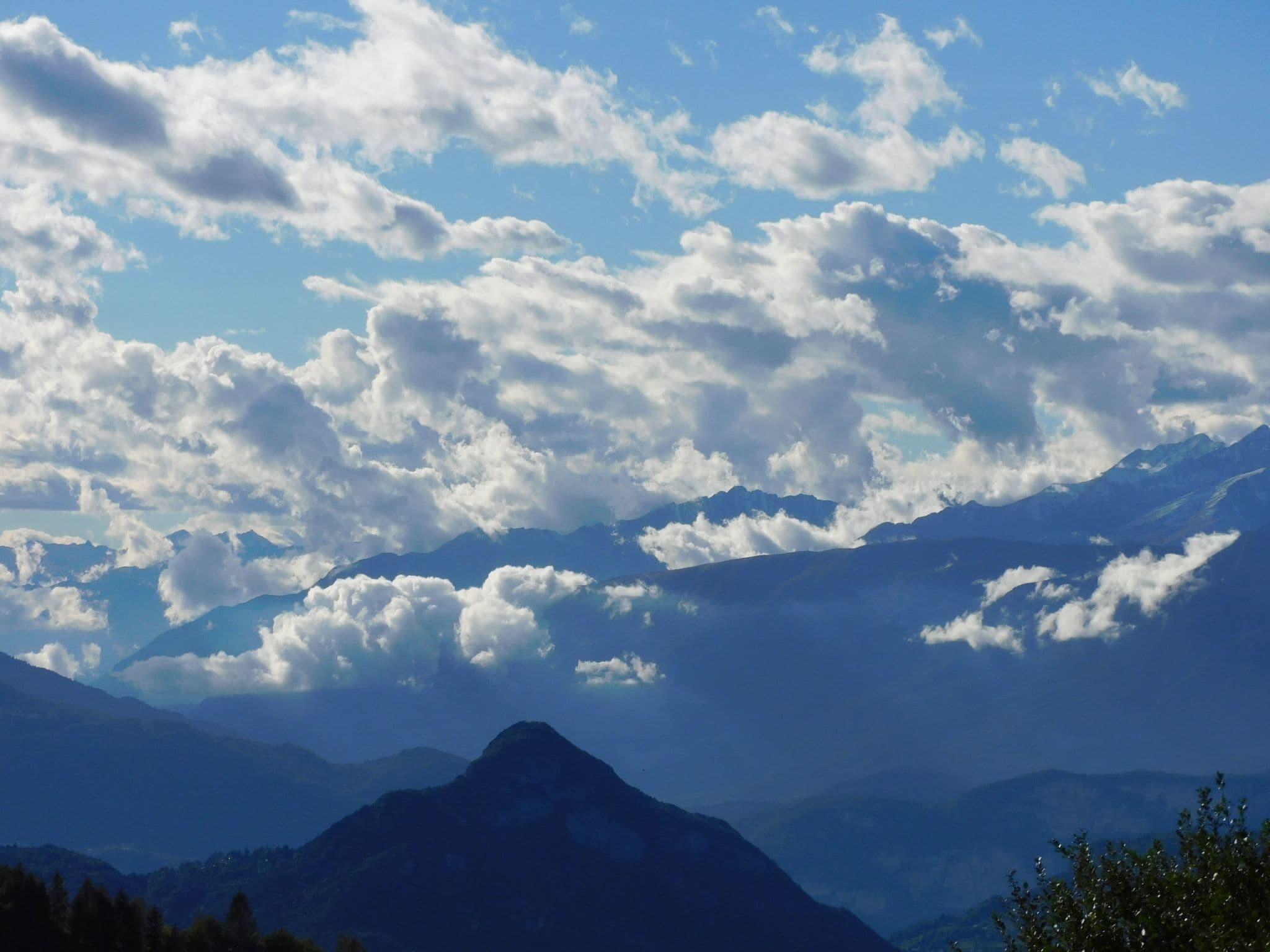 View